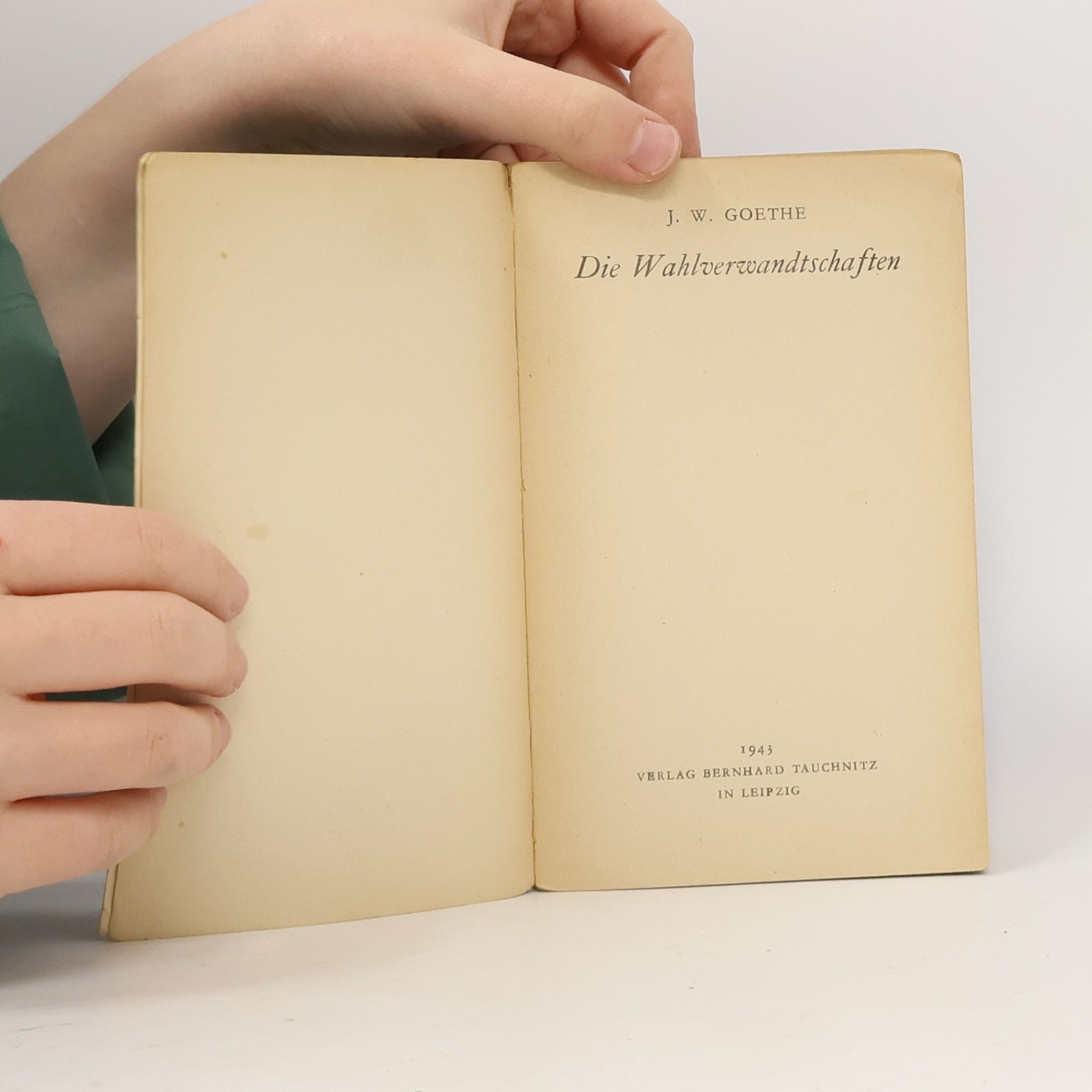 J. W. Goethe Die Wahlverwandtschaften