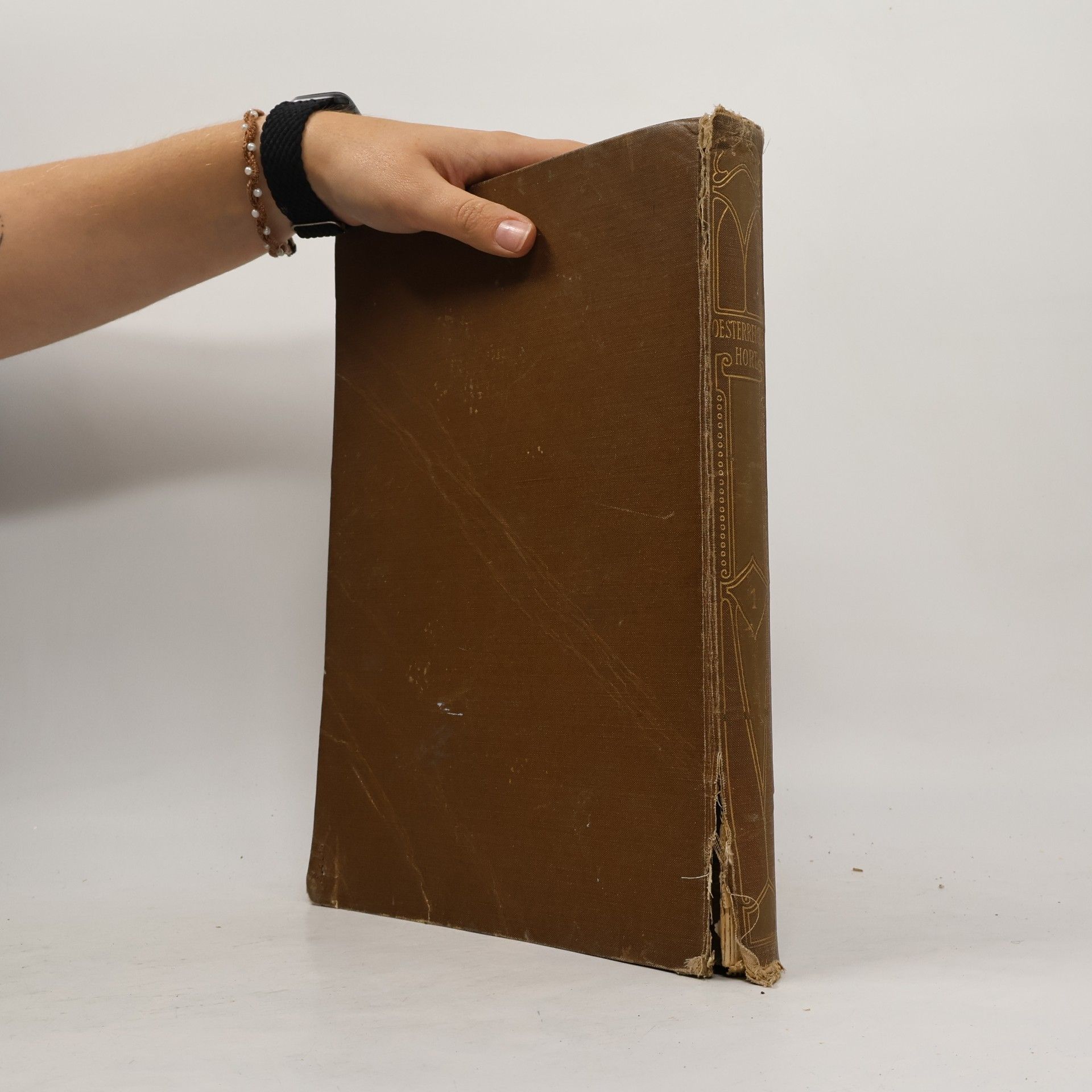 Karl Breuer Oesterreichs Hort 1