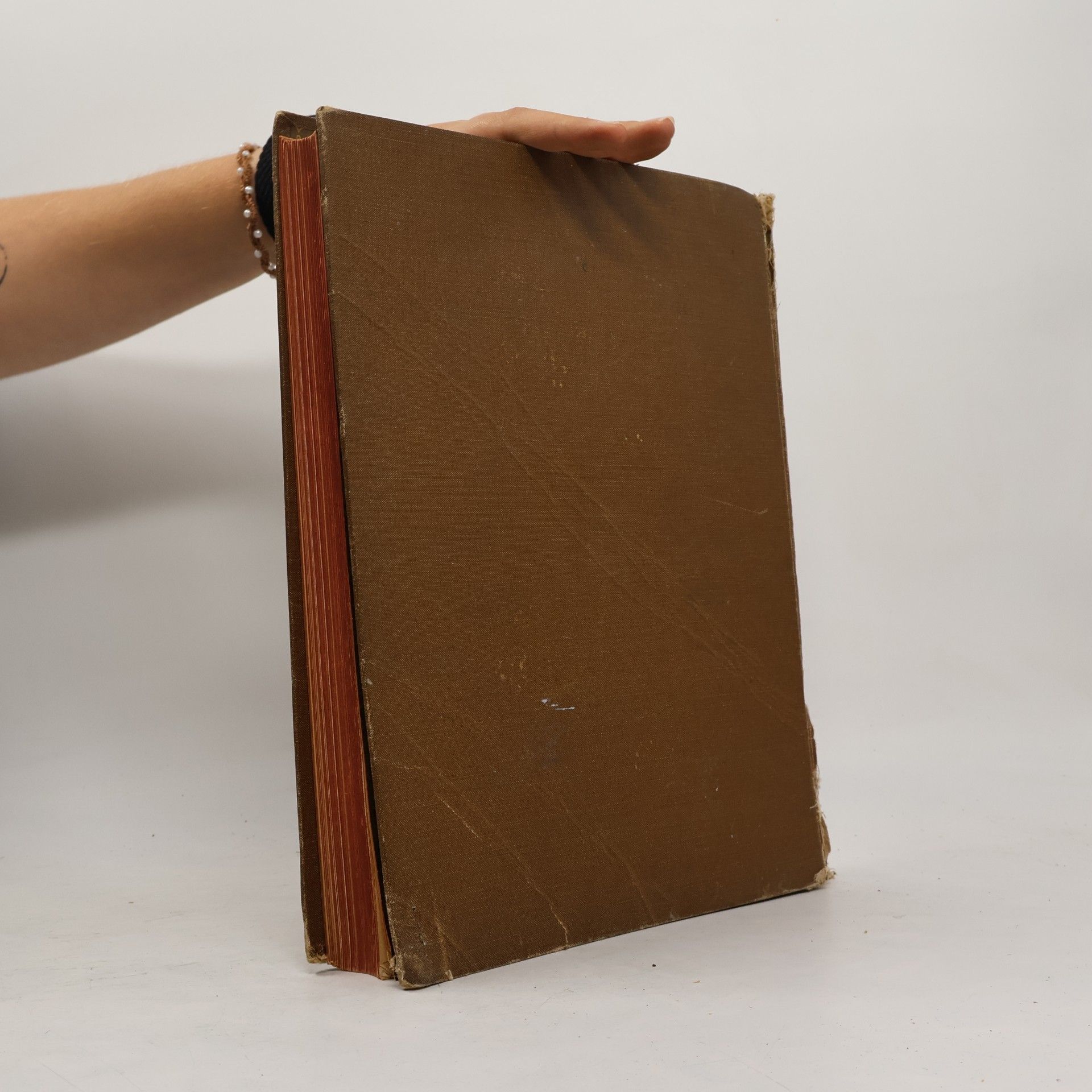 Karl Breuer Oesterreichs Hort 1