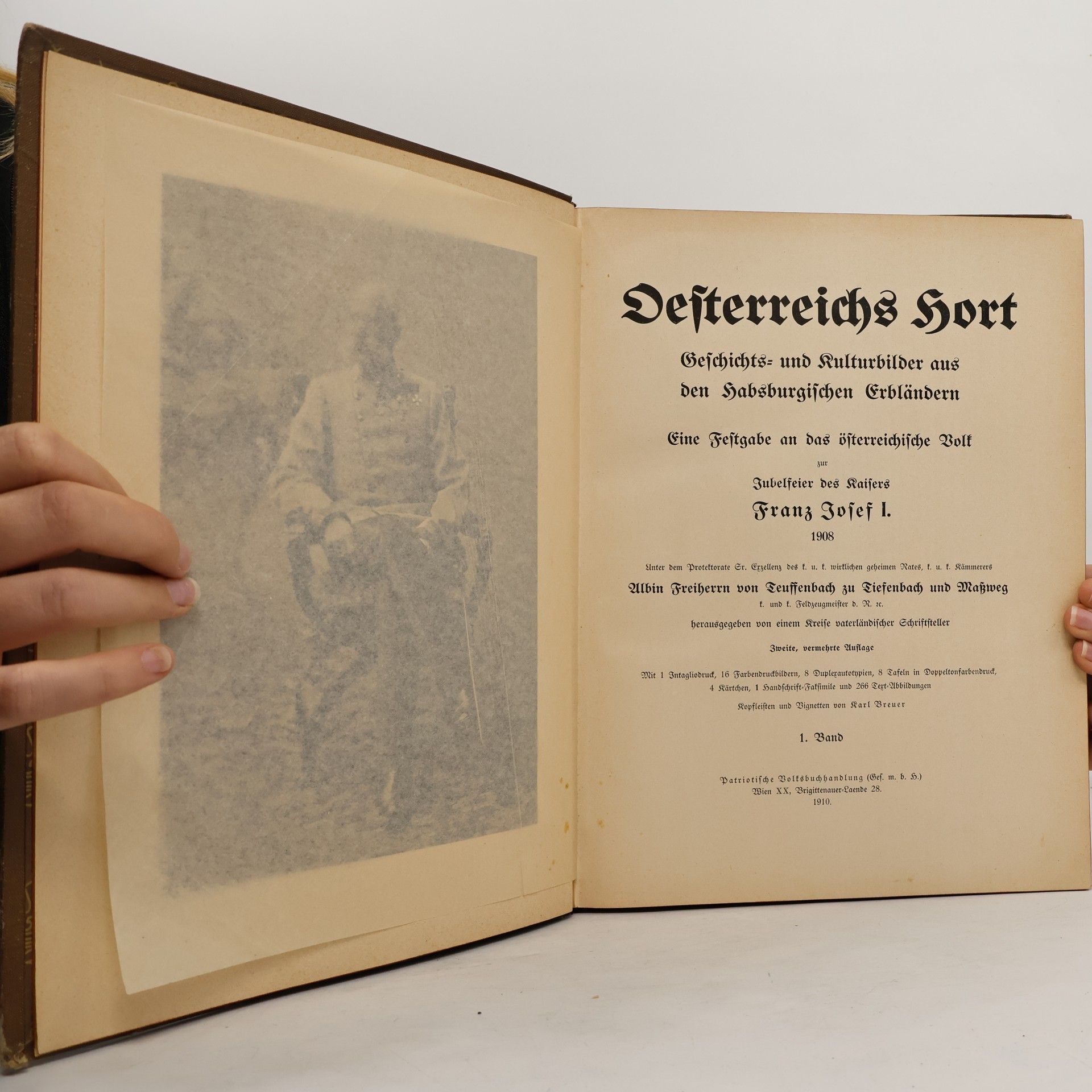 Karl Breuer Oesterreichs Hort 1