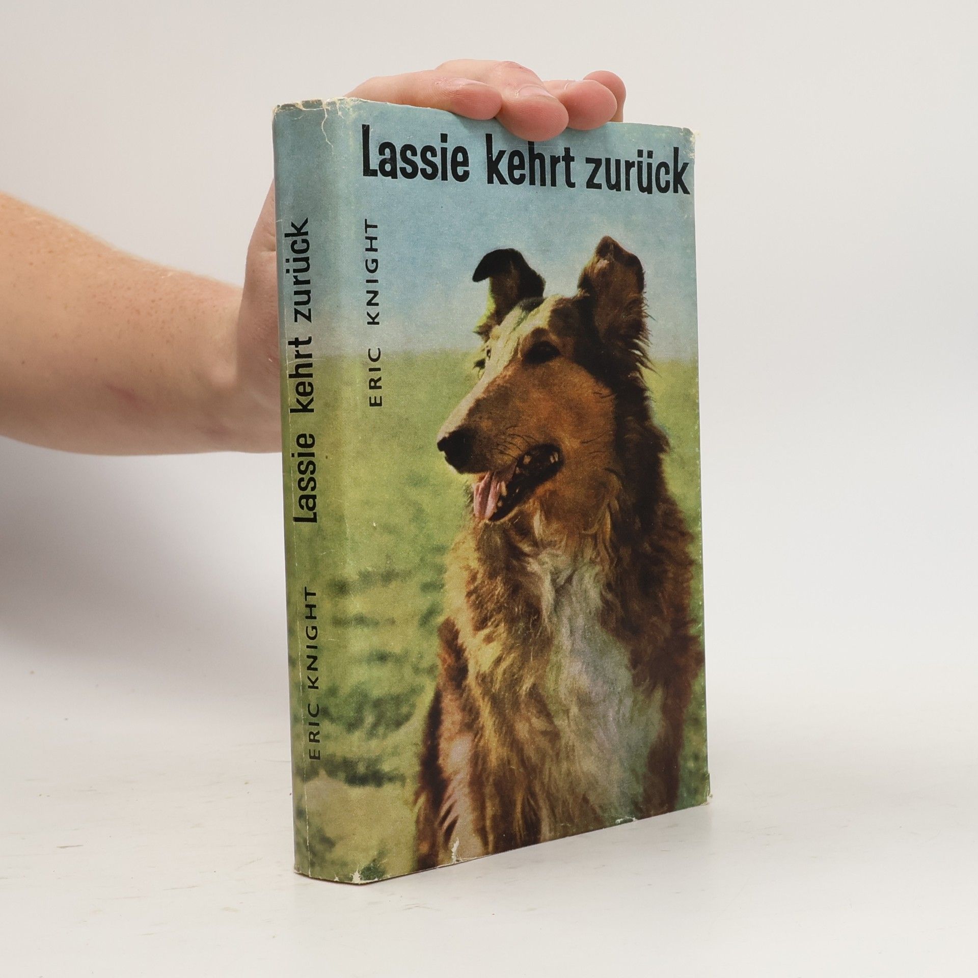 Lassie kehrt züruck