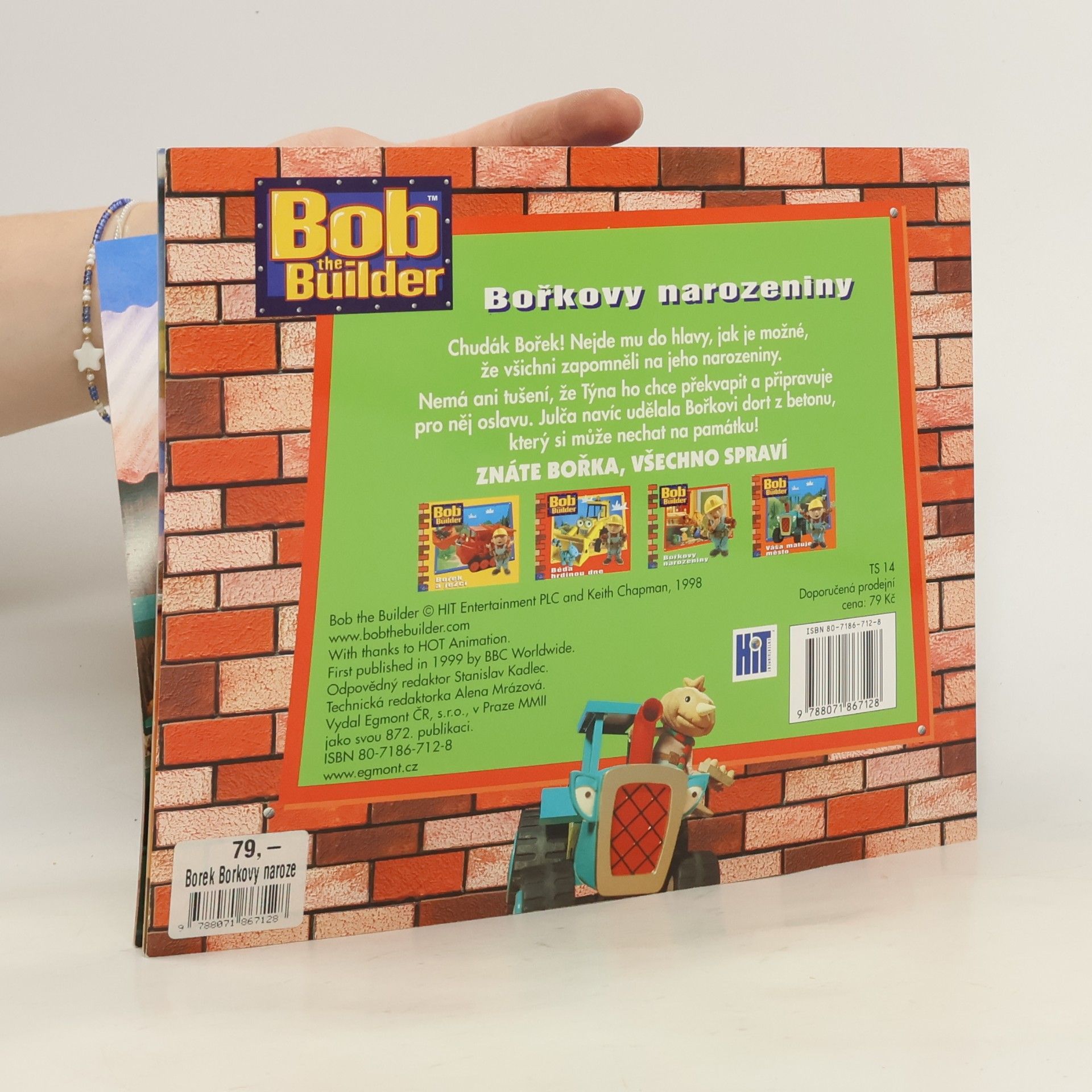 Autores varios Bořek stavitel - Bořkovy narozeniny