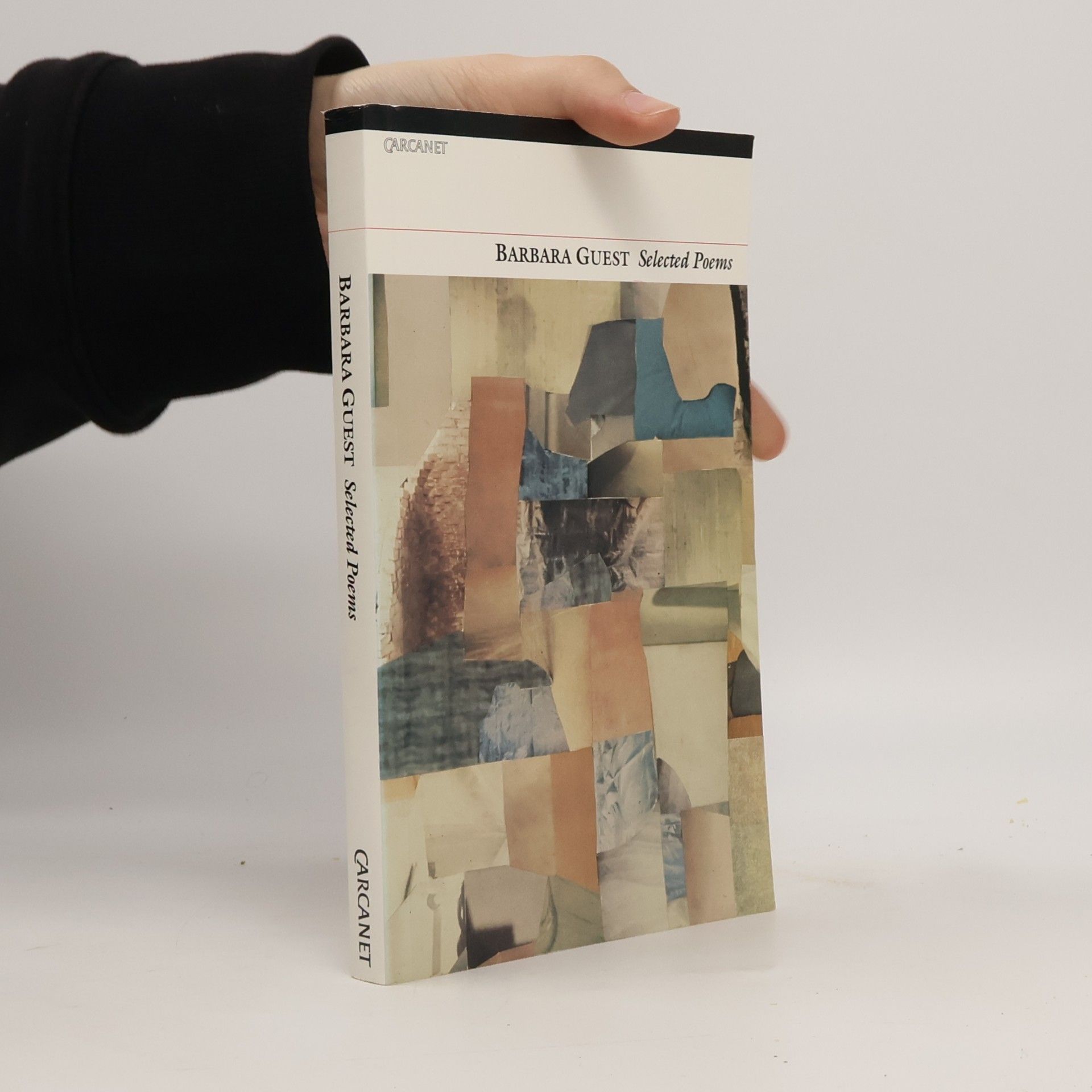 Barbara Guest Poetry Pleiade: Selected Poems