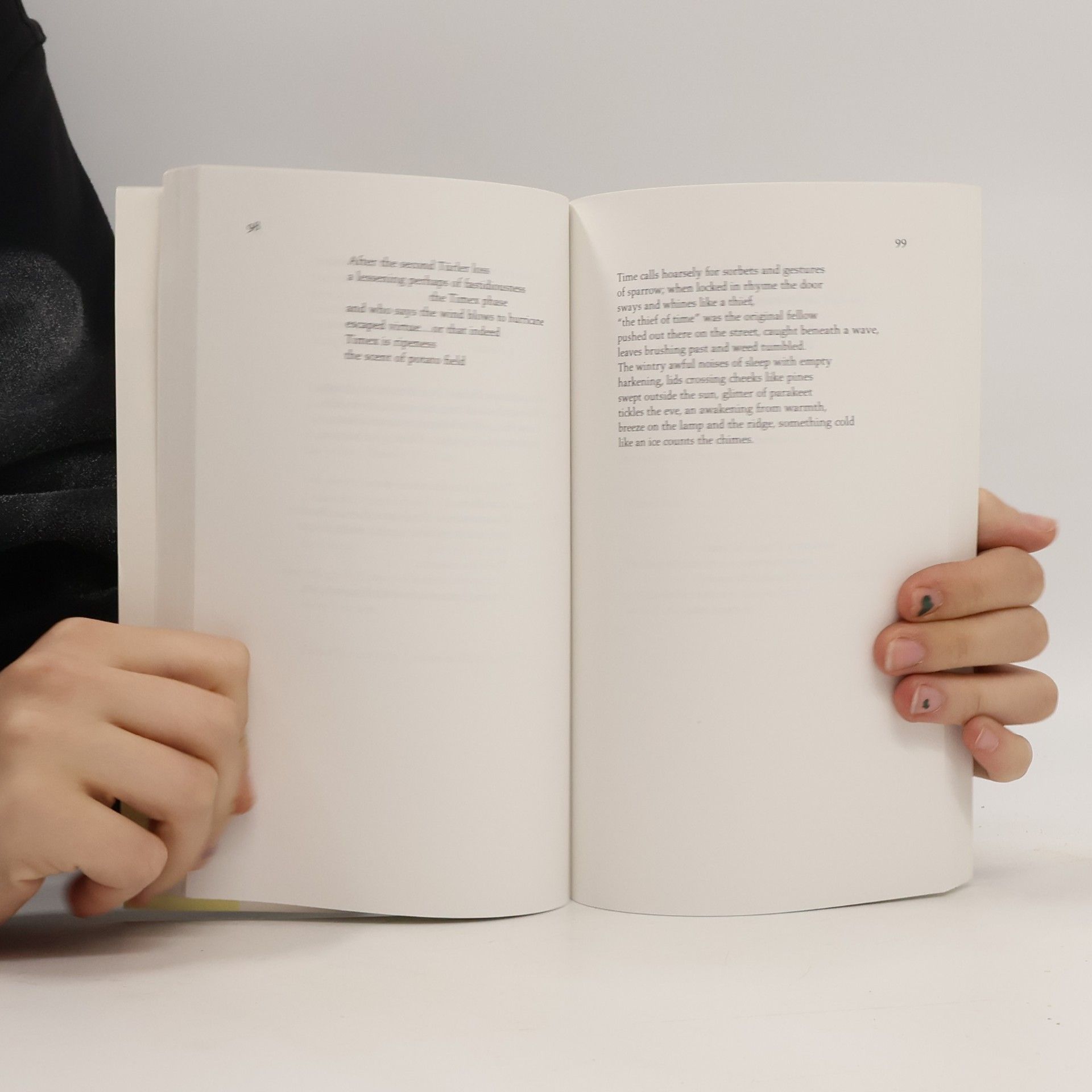 Barbara Guest Poetry Pleiade: Selected Poems