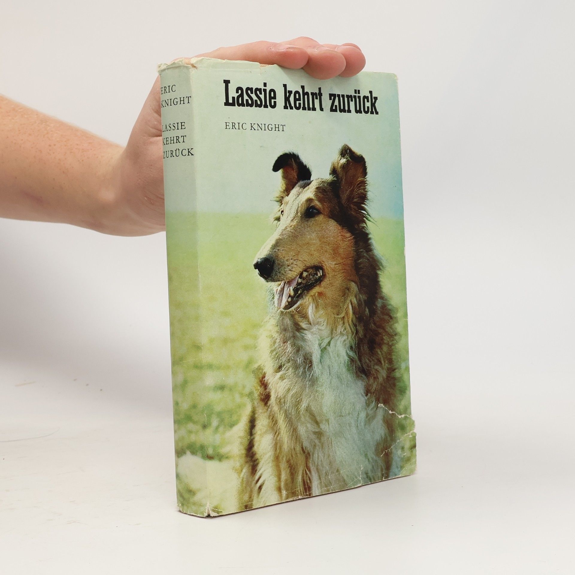Lassie kehrt züruck
