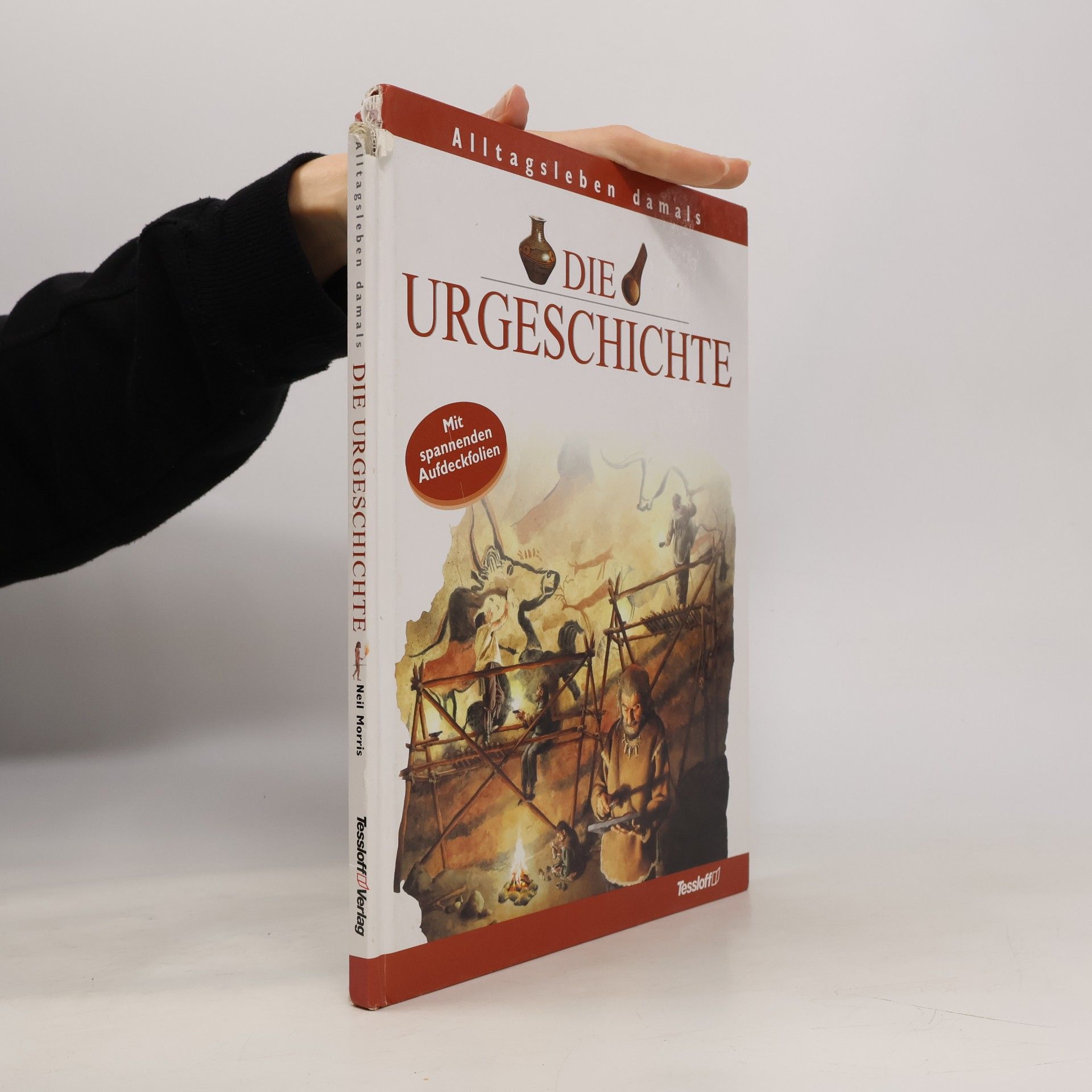 Die Urgeschichte