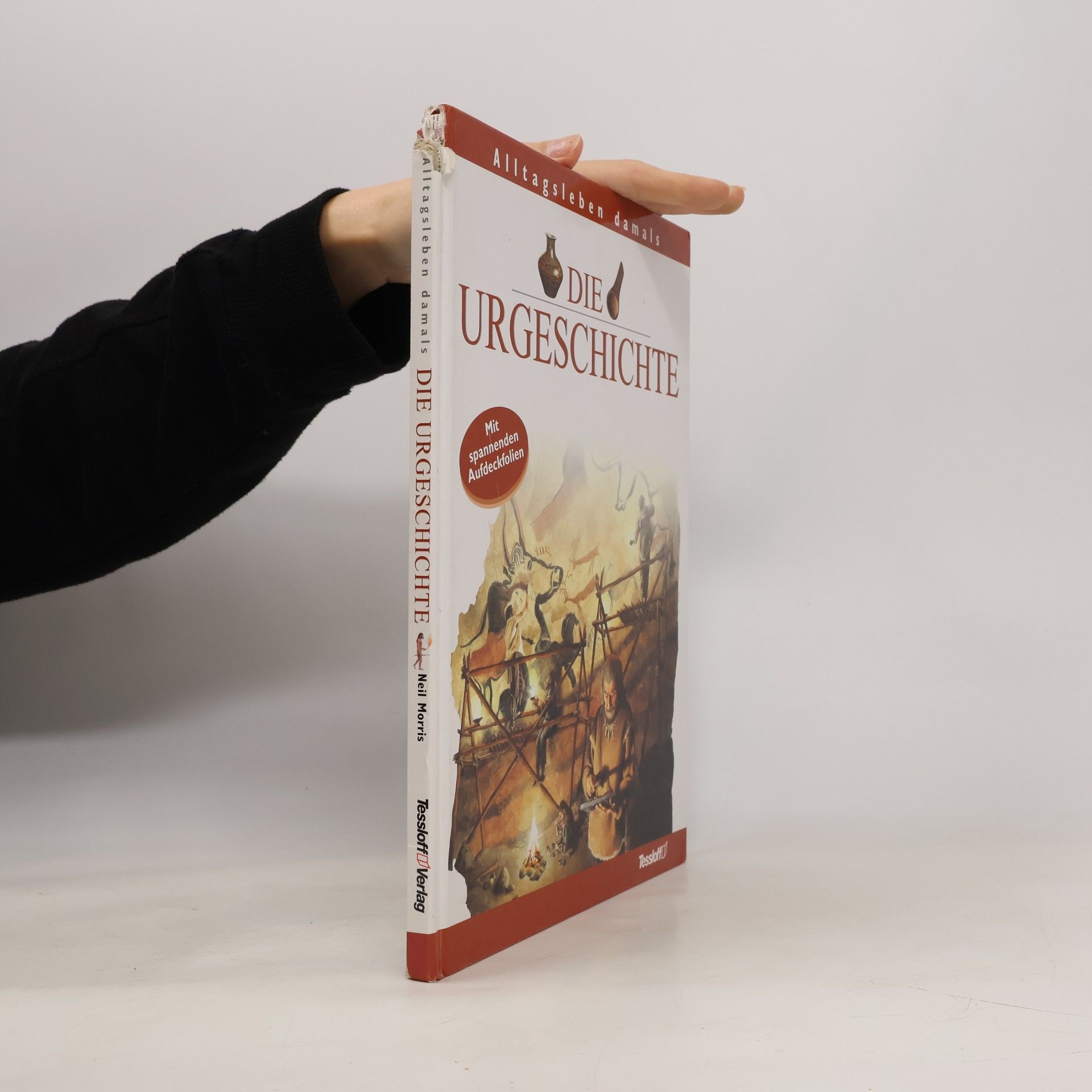 Neil Morris Die Urgeschichte