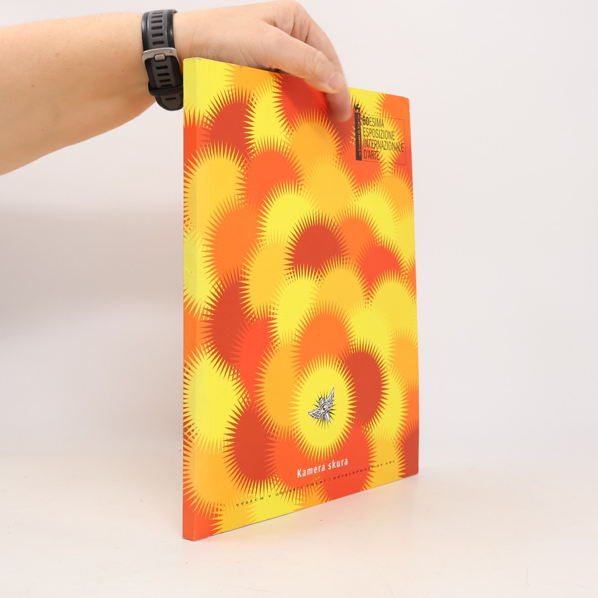 Michal Koleček La Biennale di Venezia: Esposizione Internazionale d'Arte - 50: Superstart, Kamera skura & Kunst-Fu