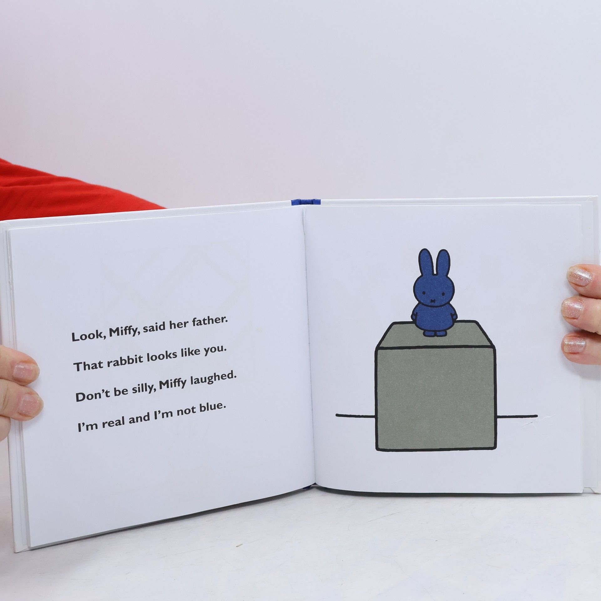 Dick Bruna Miffy at the Gallery