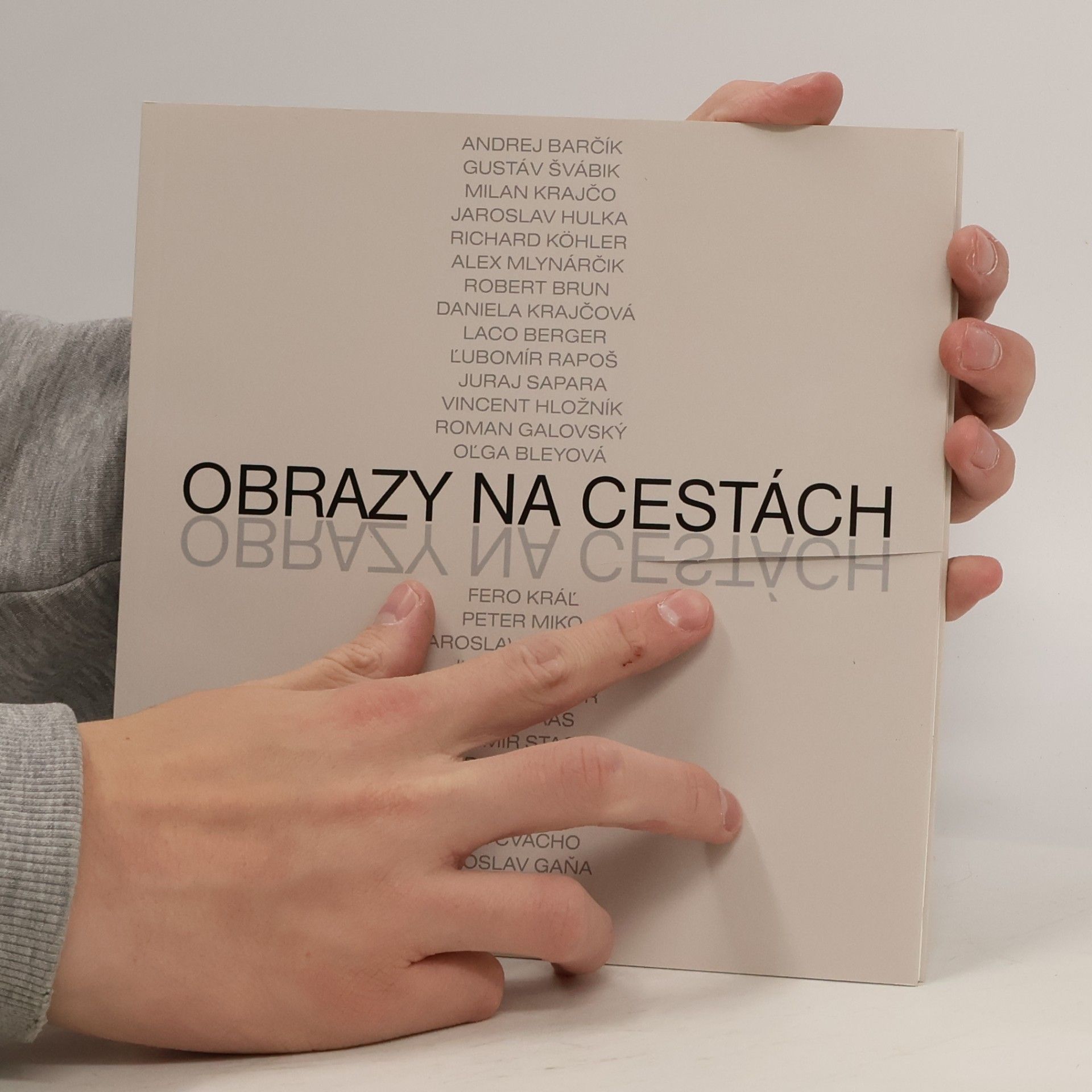 Autorenkollektiv Obrazy na cestách