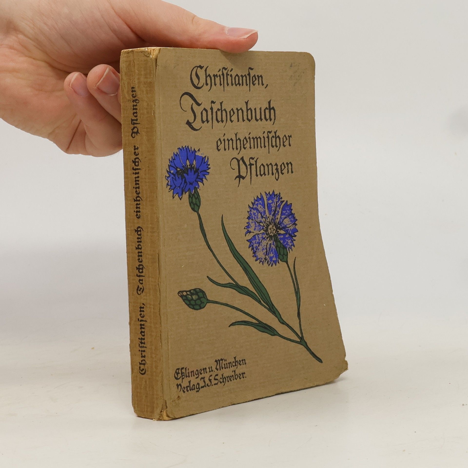 Albert Christiansen Taschenbuch einheimischer Pflanzen