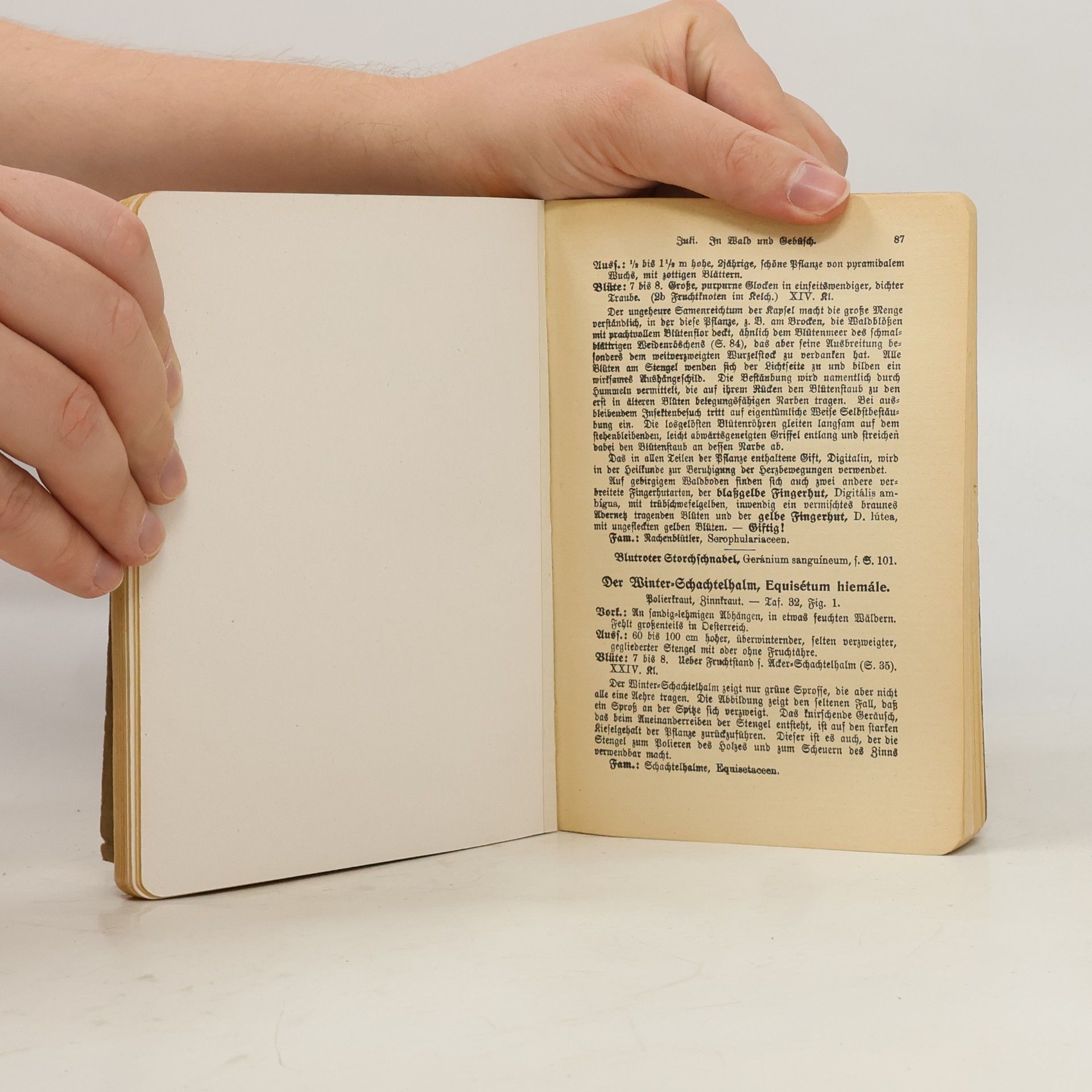 Albert Christiansen Taschenbuch einheimischer Pflanzen