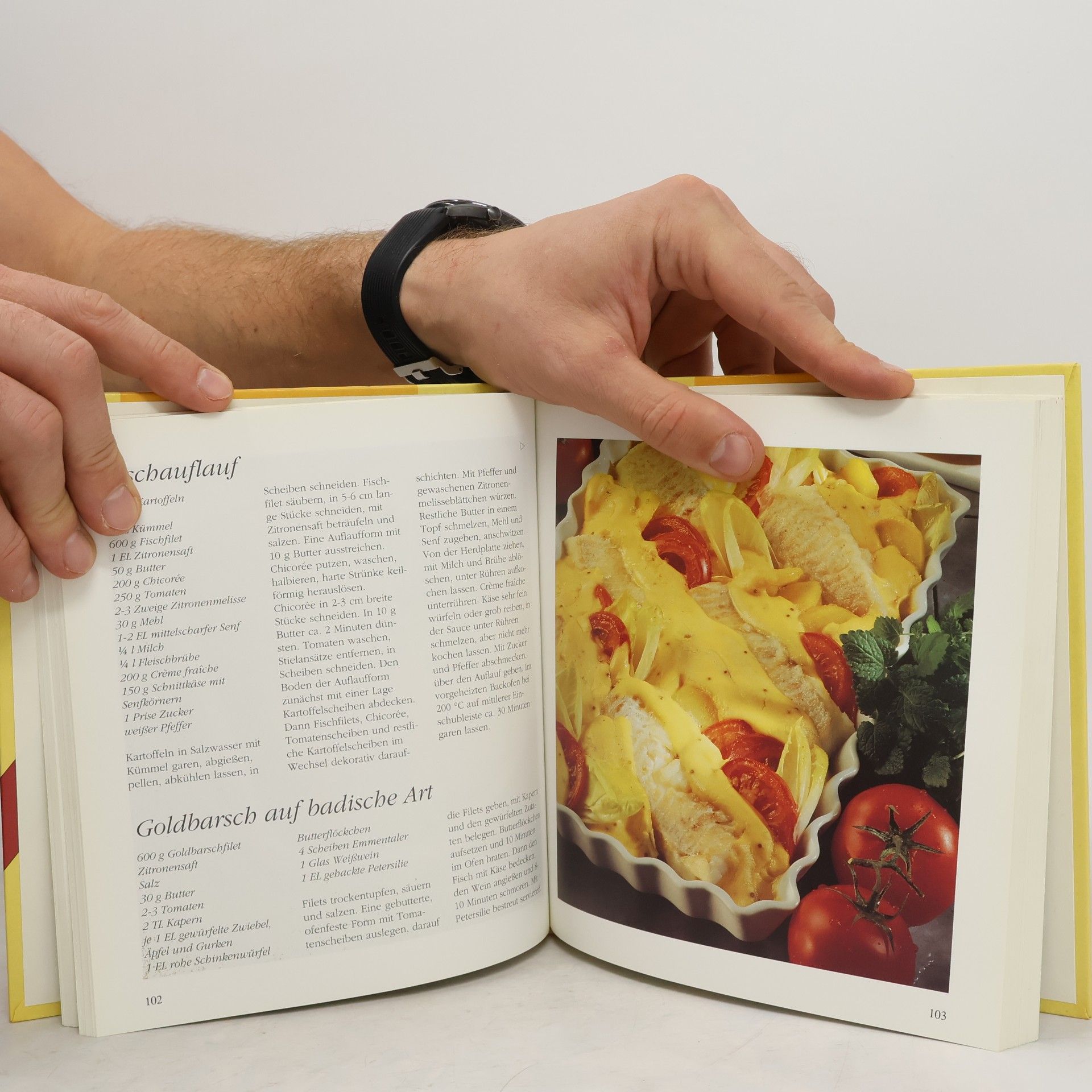 Various authors Aufläufe und Gratins