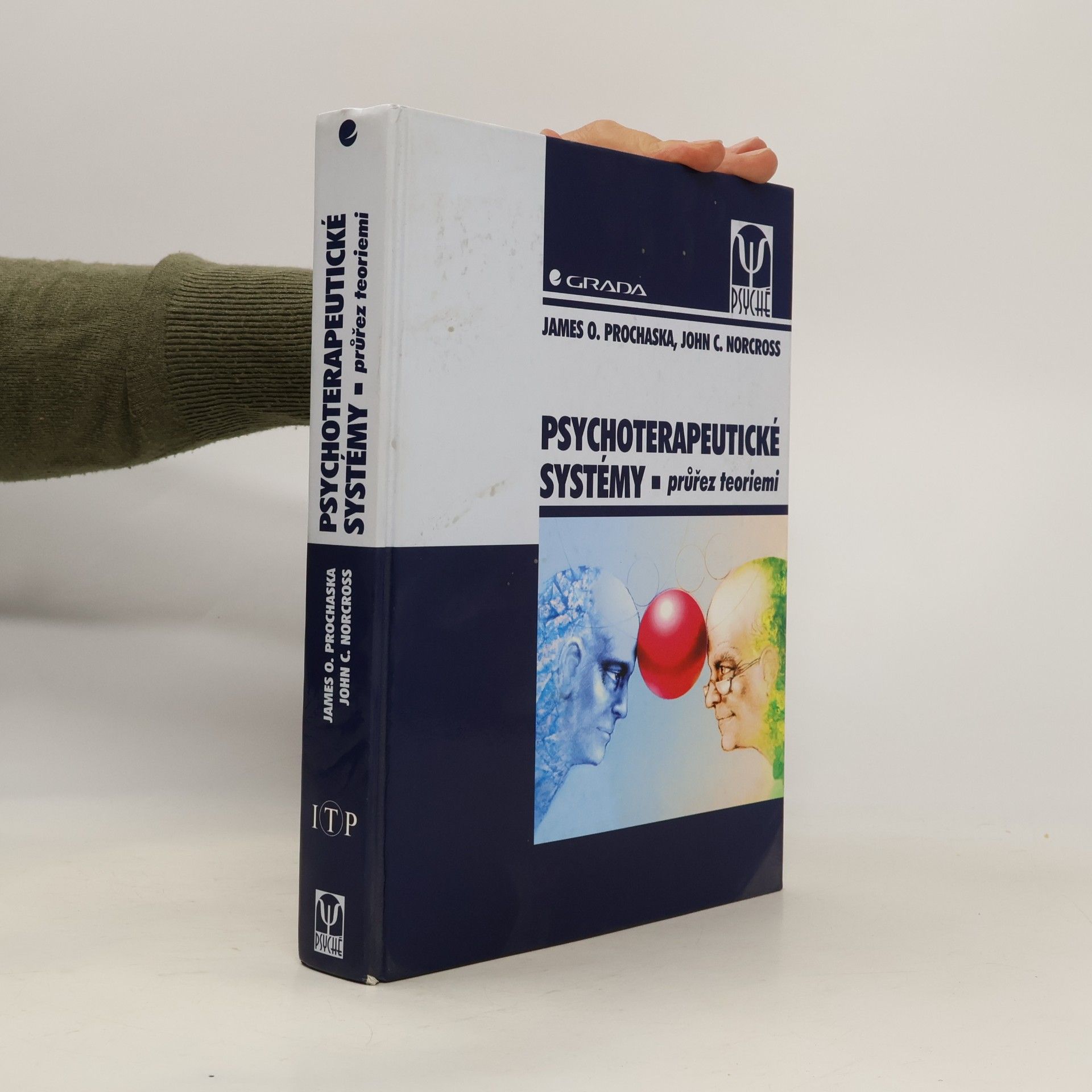 Psychoterapeutické systémy. Průřez teoriemi