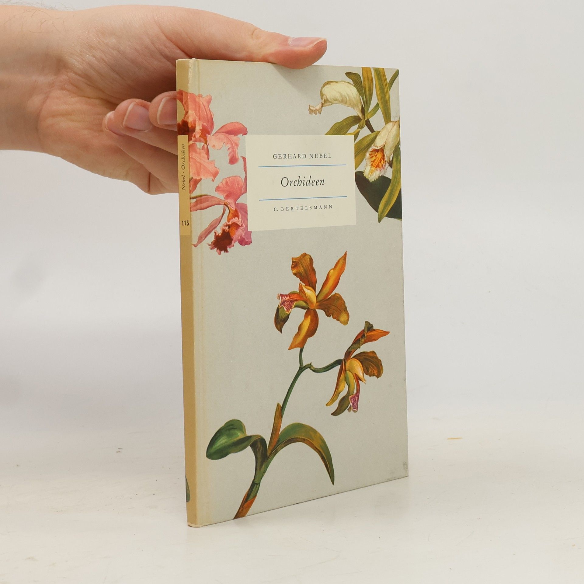 Orchideen