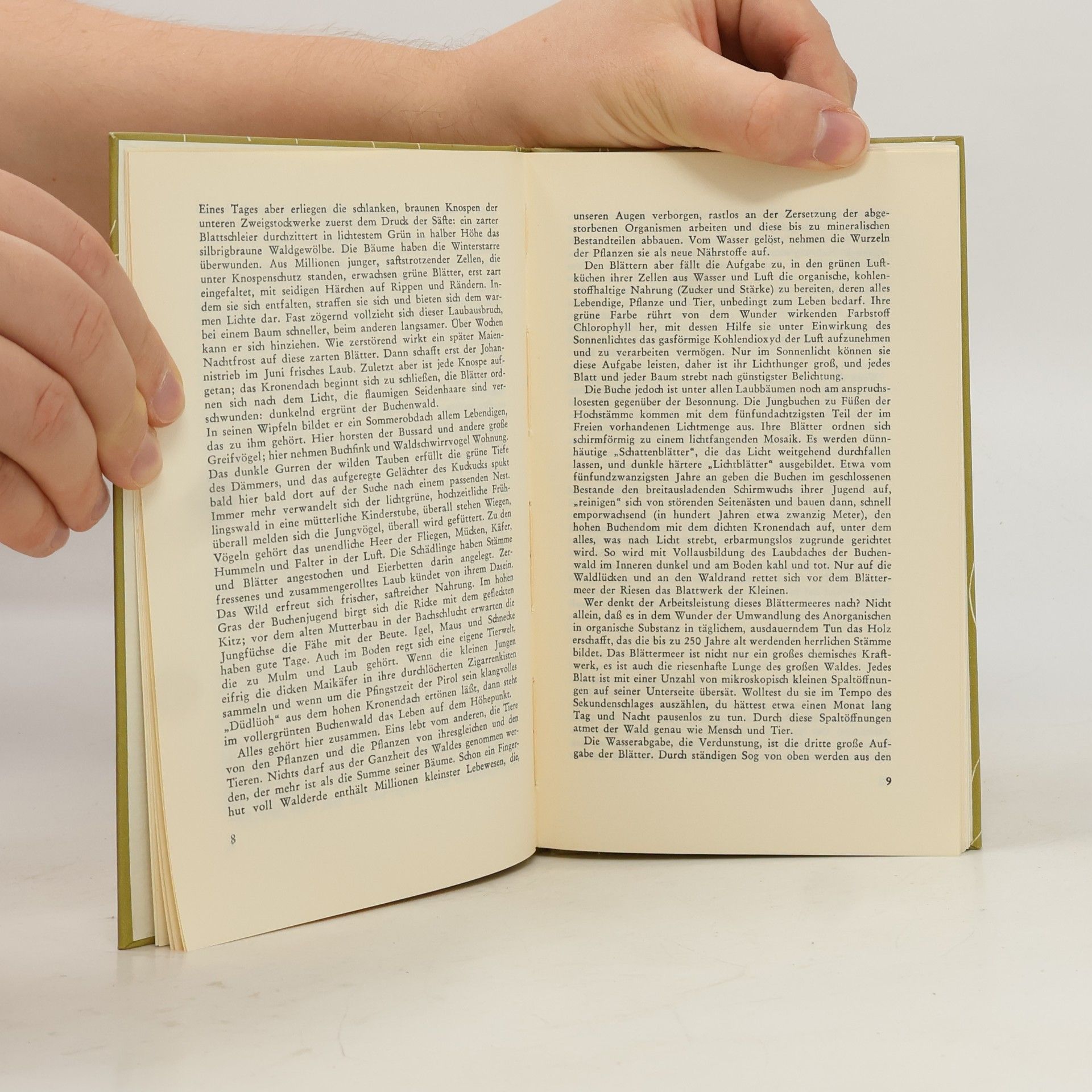 Rolf Dircksen Das kleine Waldbuch