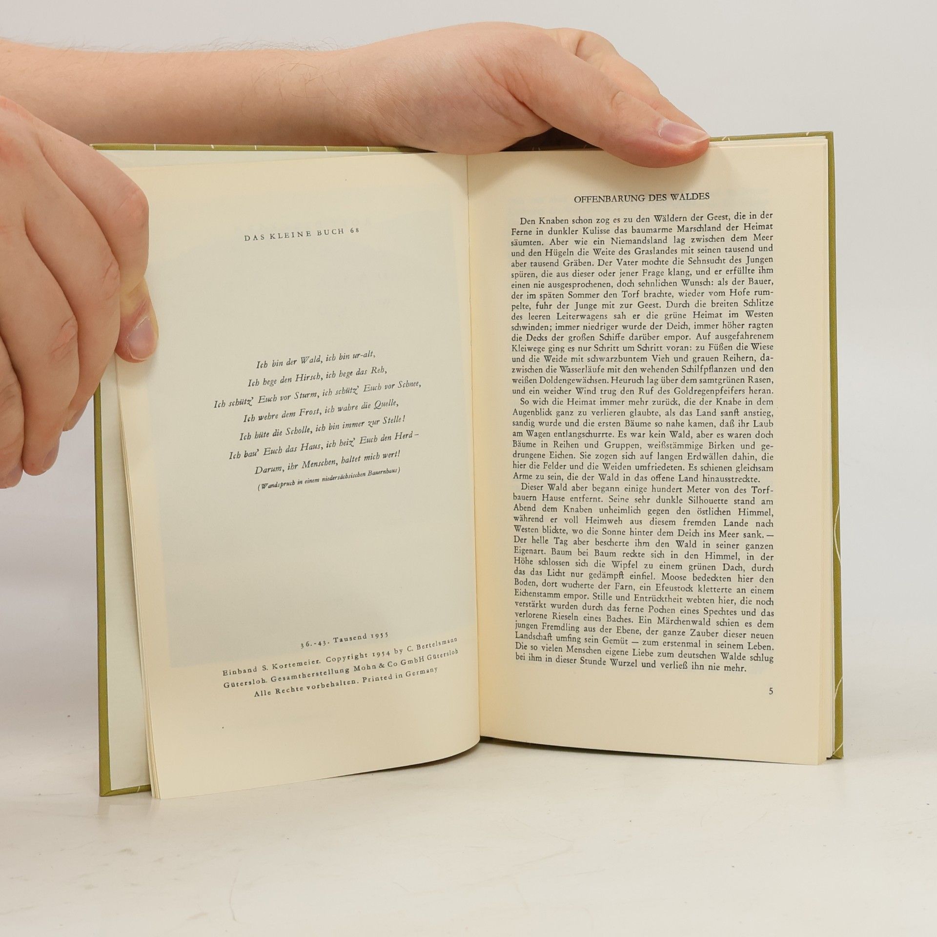 Rolf Dircksen Das kleine Waldbuch