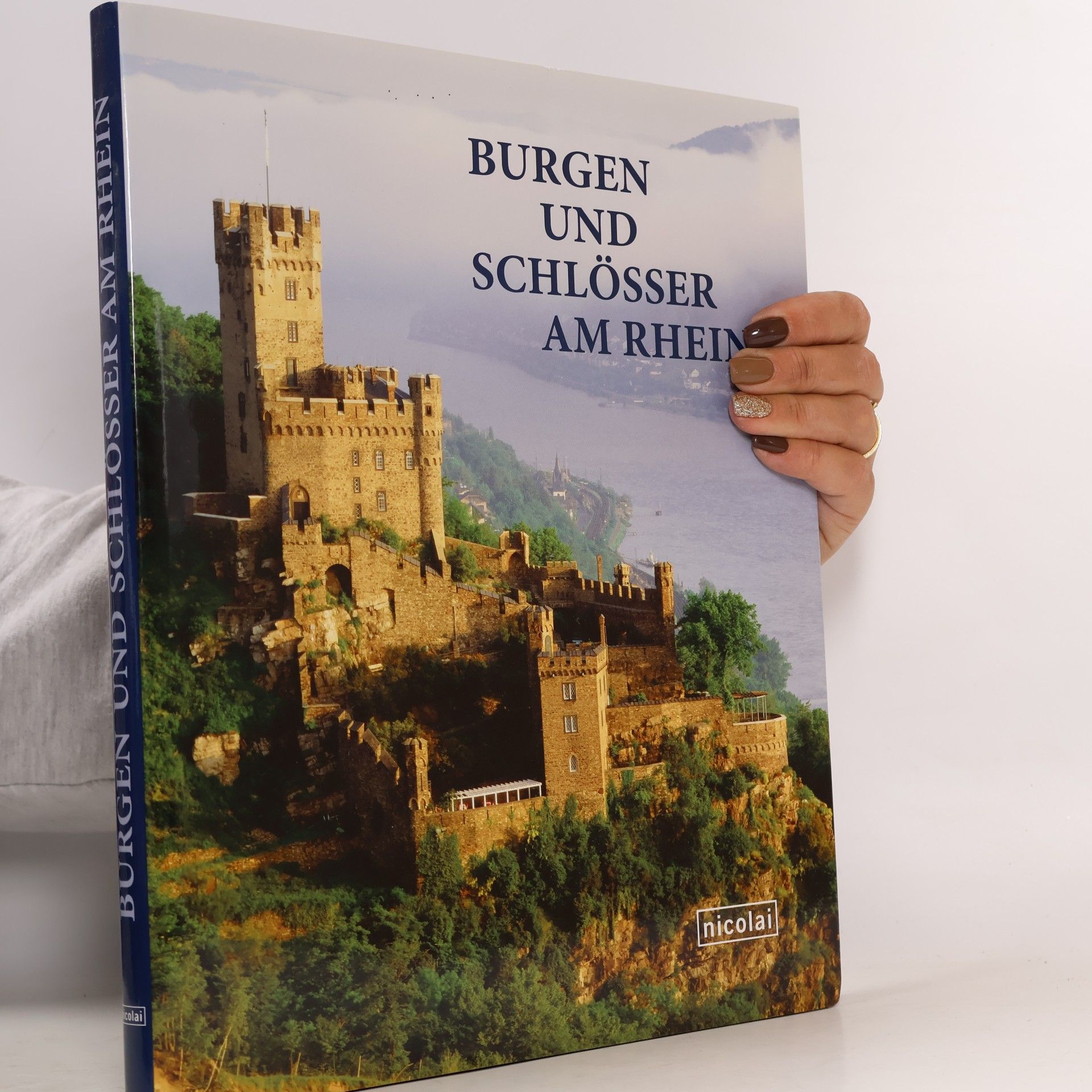 Anne Christine Martin Burgen und Schlösser am Rhein