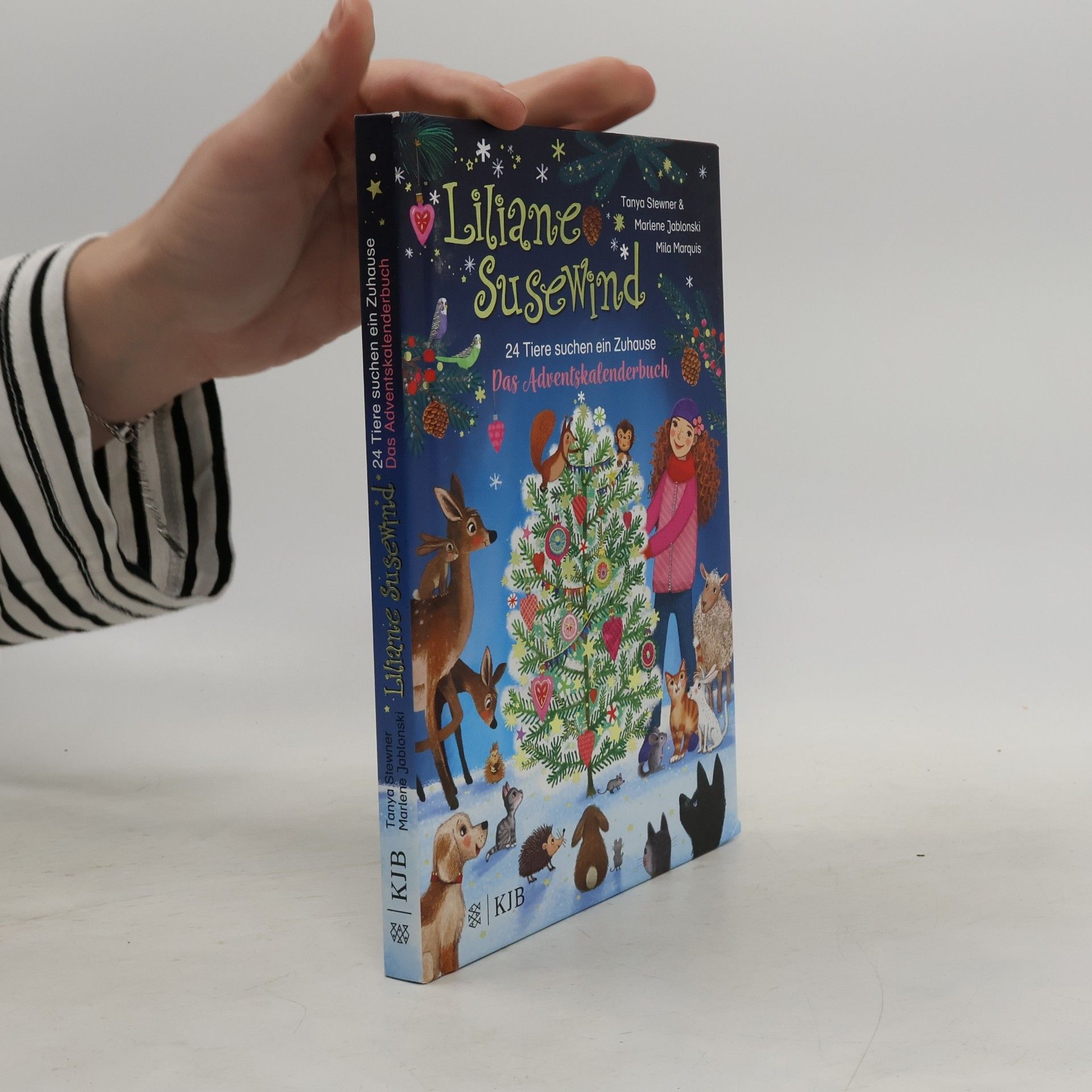 Liliane Susewind - 24 Tiere suchen ein Zuhause. Das Adventskalenderbuch