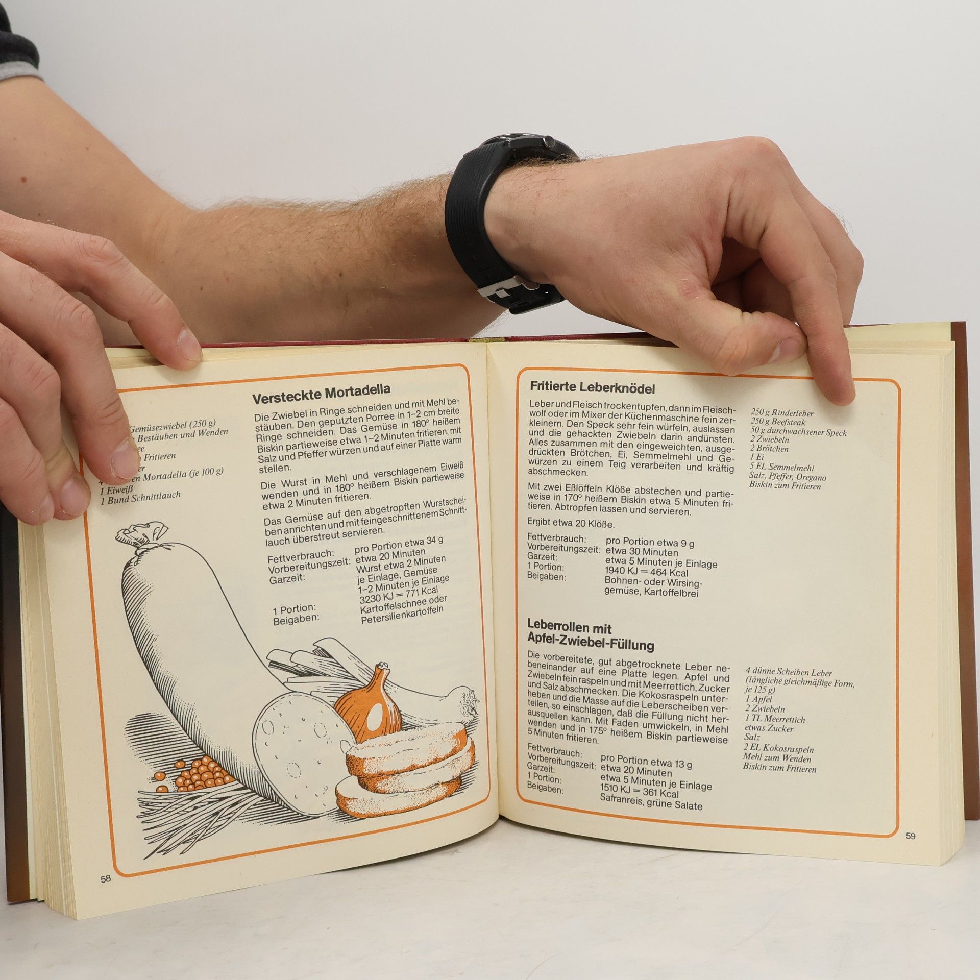Helga Nicolaisen Das Große Fritierbuch
