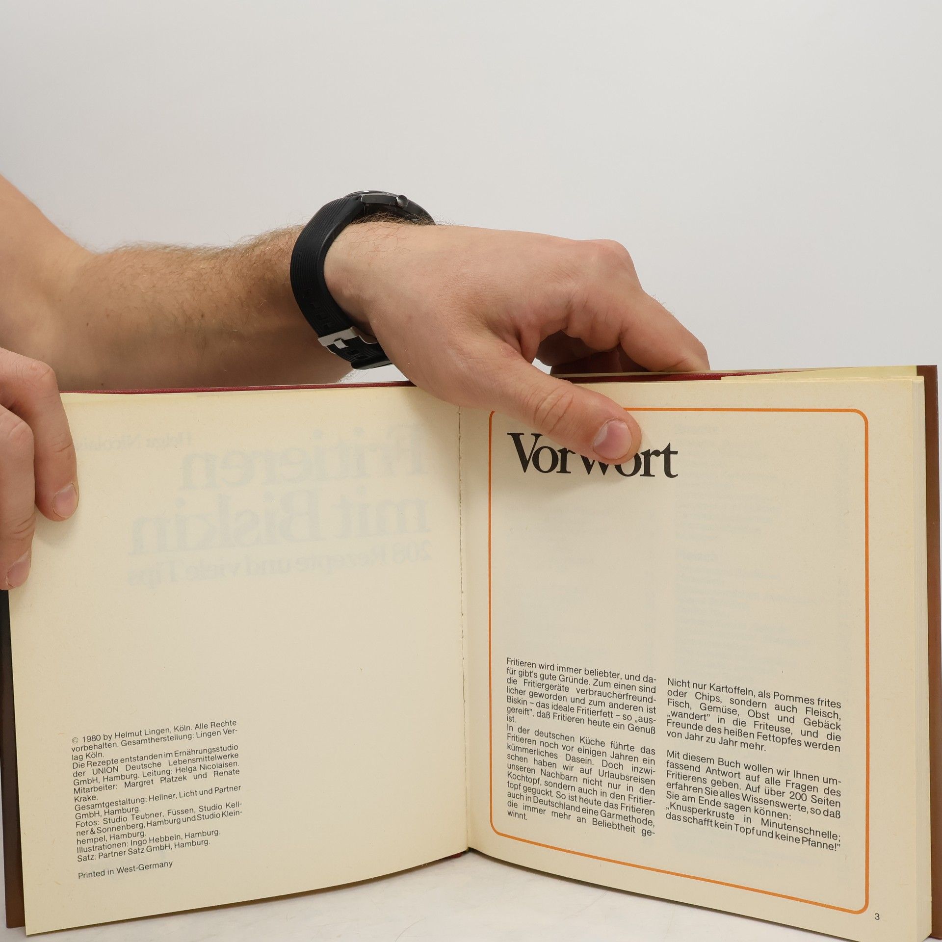 Helga Nicolaisen Das Große Fritierbuch