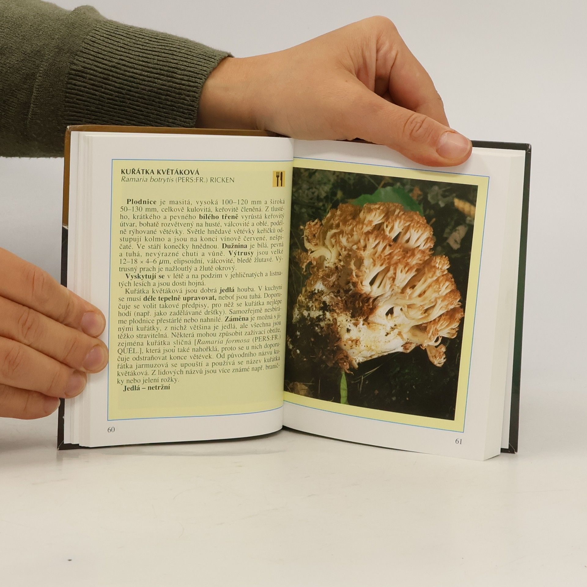 Miroslav Smotlacha Kapesní atlas hub