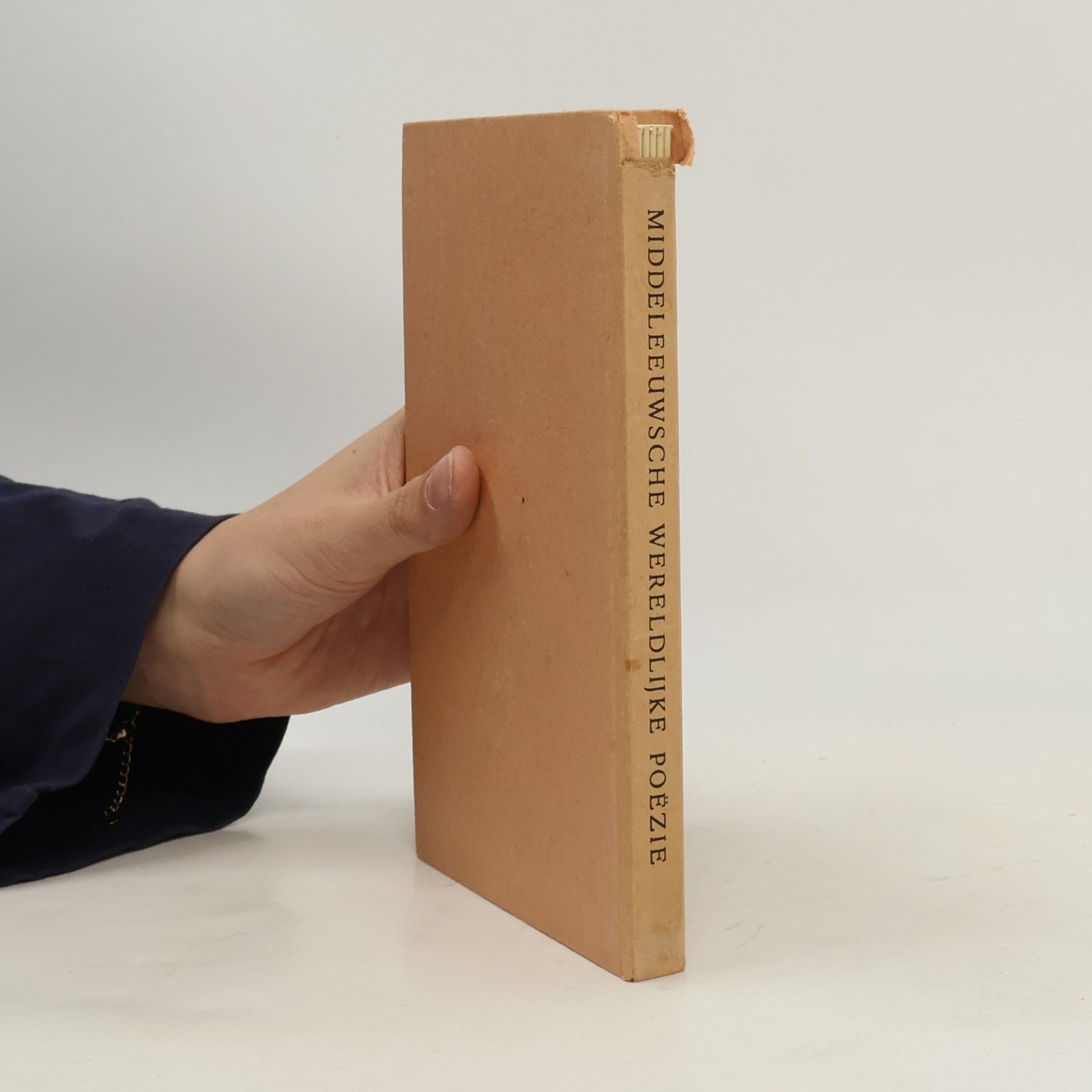 Various authors Middeleeuwsche wereldlijke poëzie