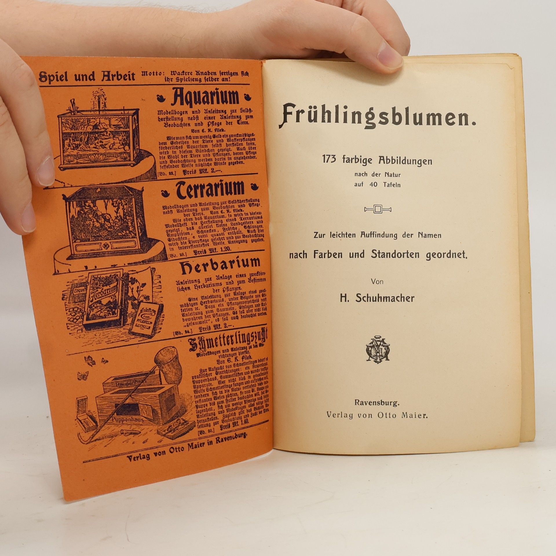H. Schuhmacher Bilder-Atlas der Frühlingsblumen
