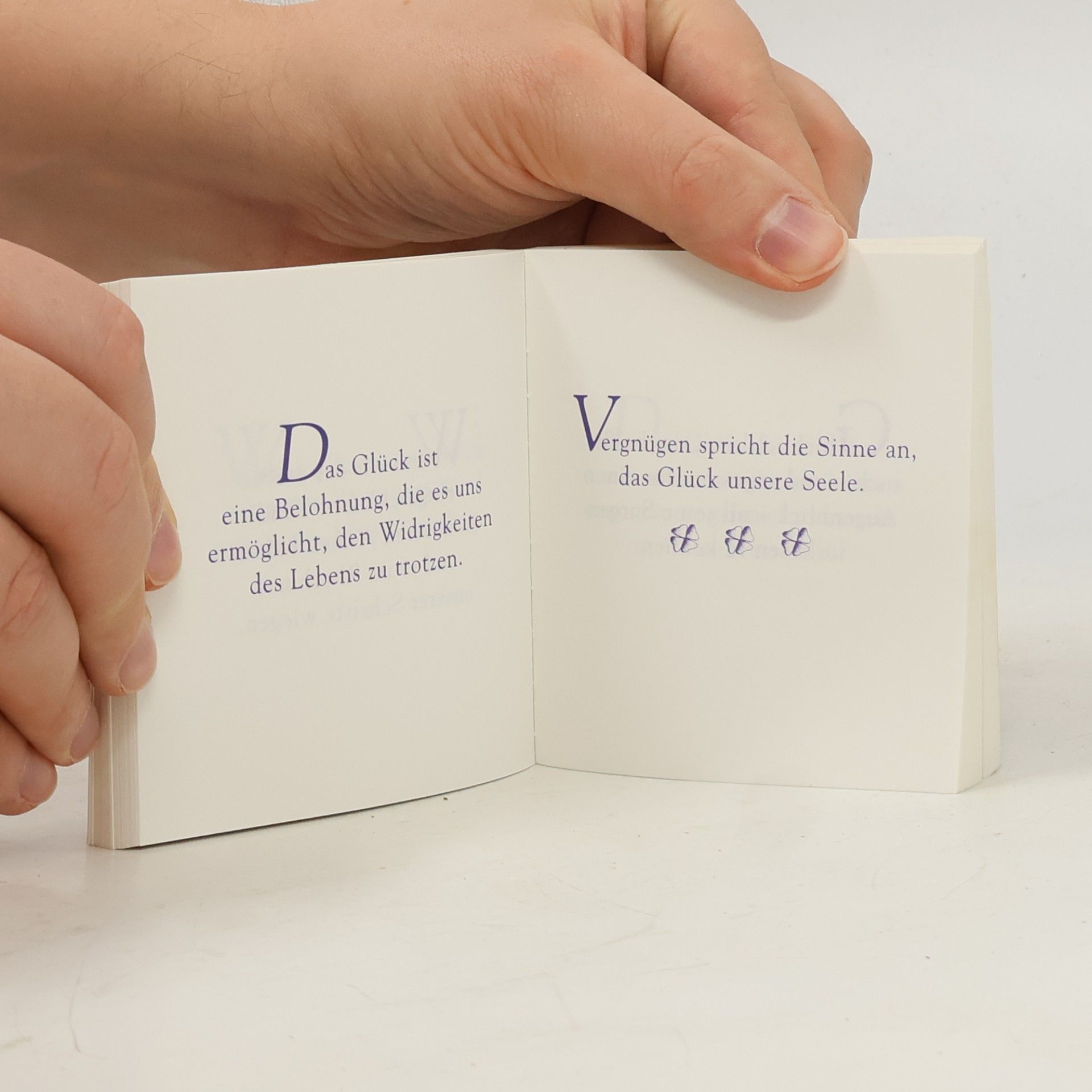 Jean Gastaldi Das kleine Buch vom Glück