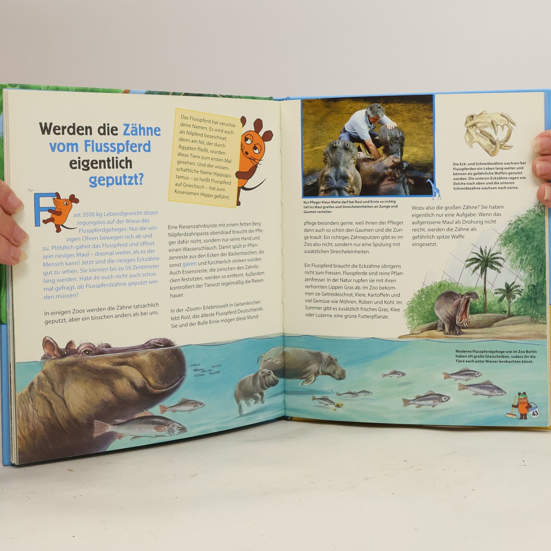 Sabine Dahm Im Zoo