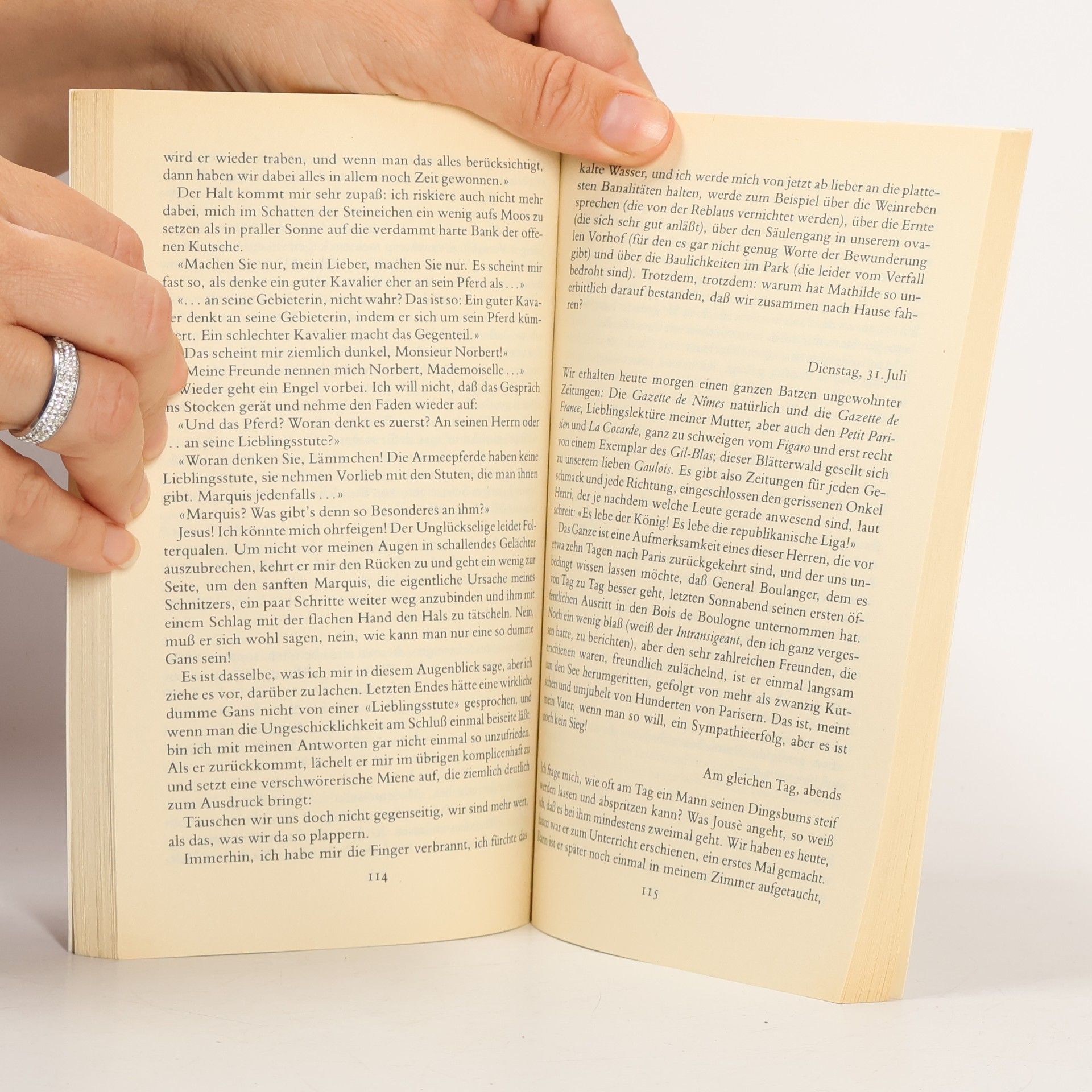 Agnès de S. Mein intimes Tagebuch