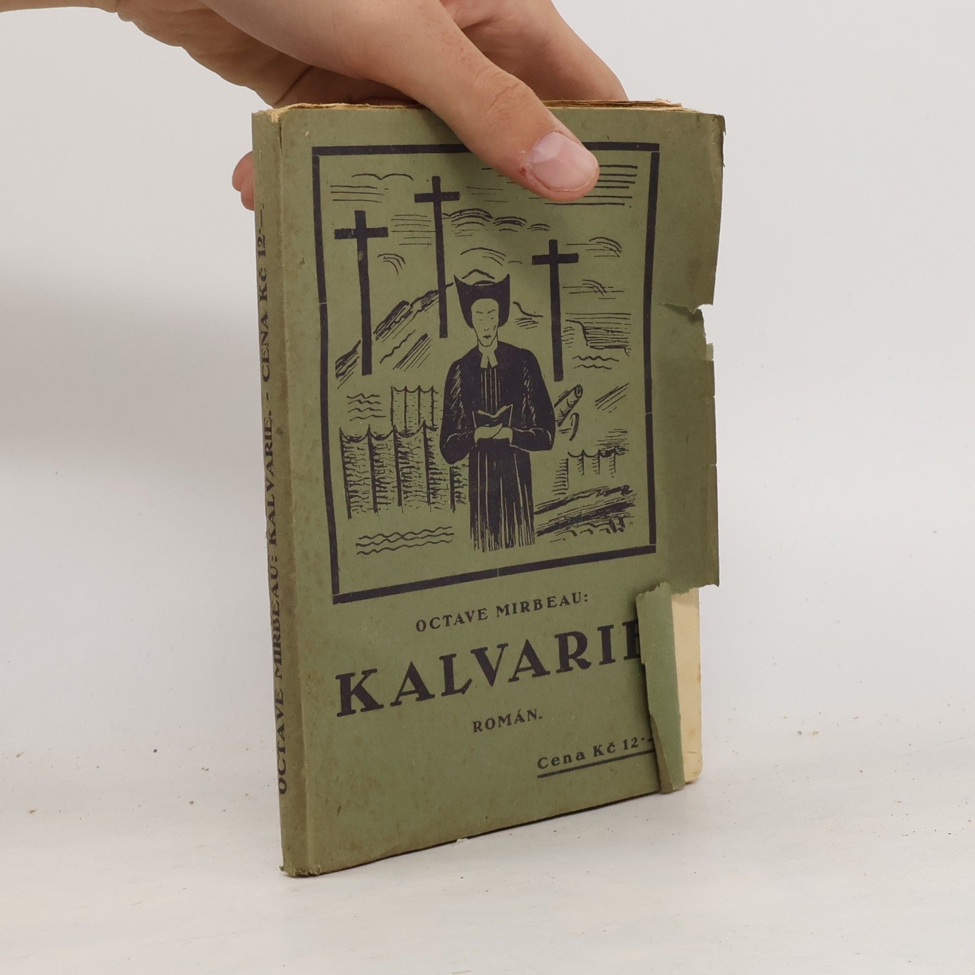 Kalvarie : Román