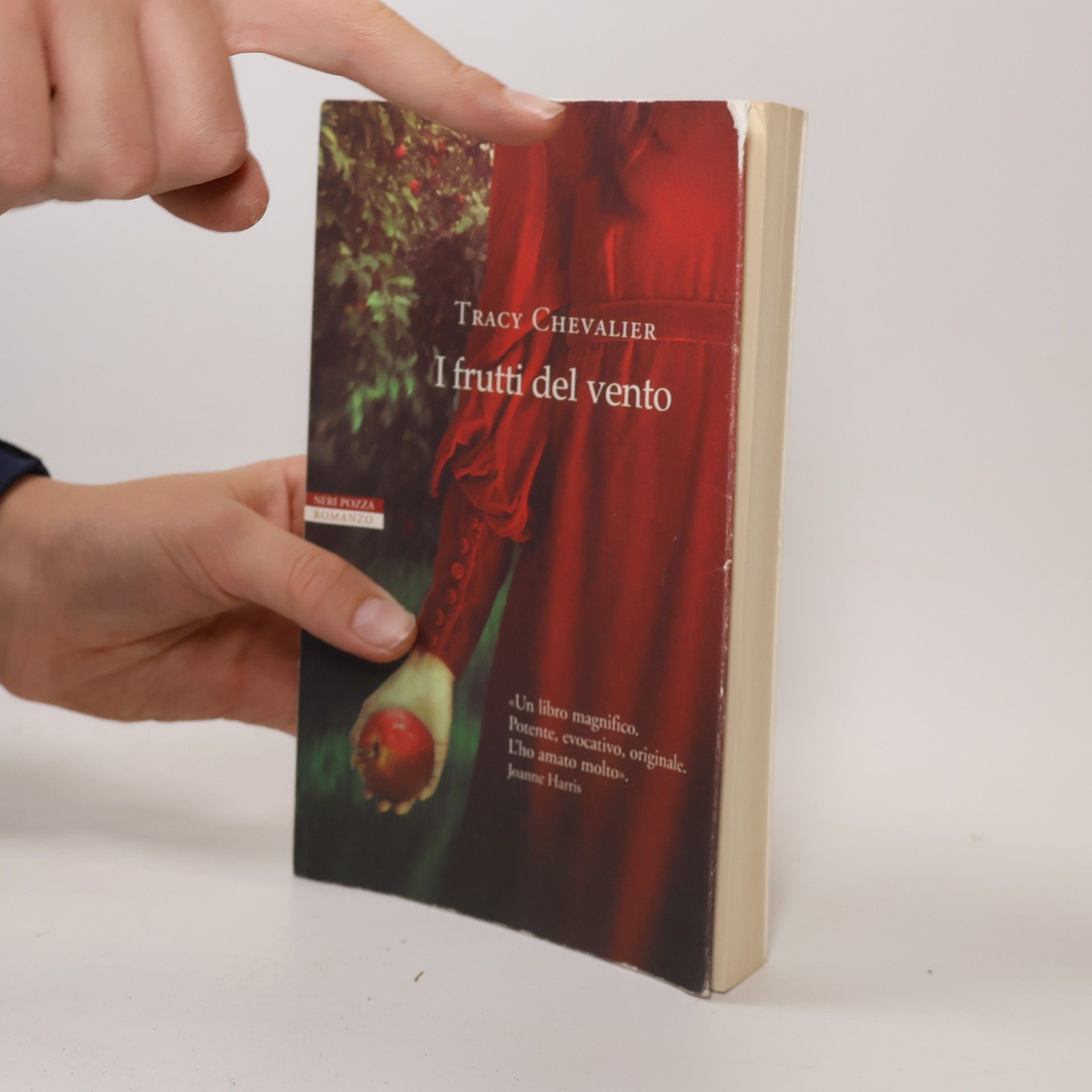 Massimo Ortelio I narratori delle tavole: I frutti del vento