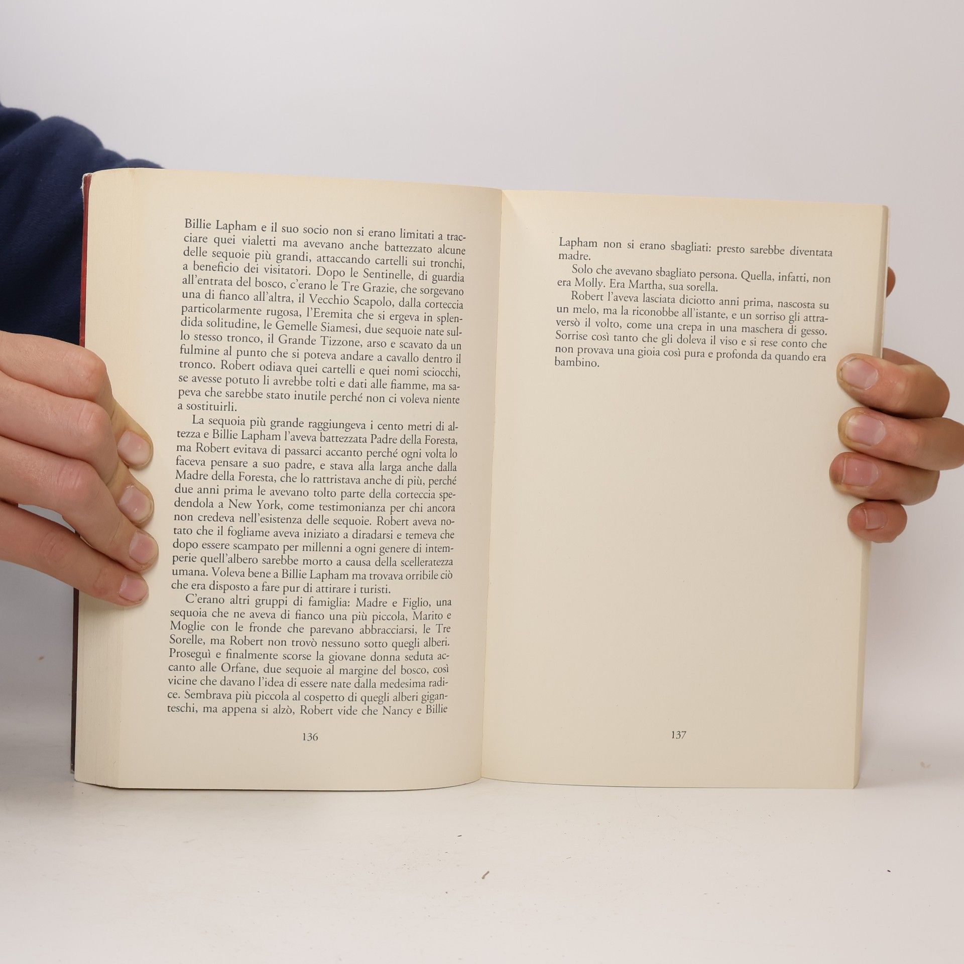 Massimo Ortelio I narratori delle tavole: I frutti del vento