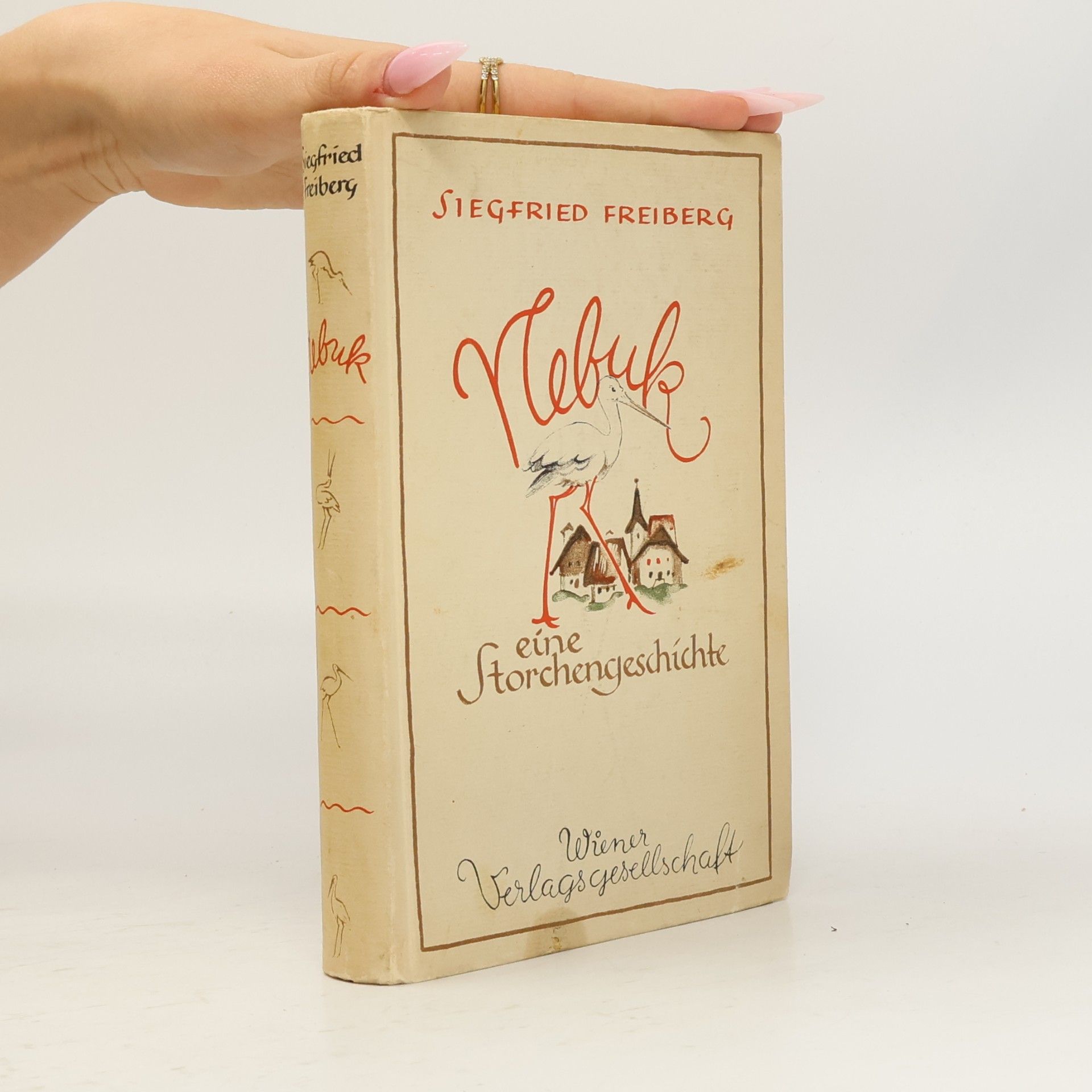 Nebuk, eine Storchengeschichte