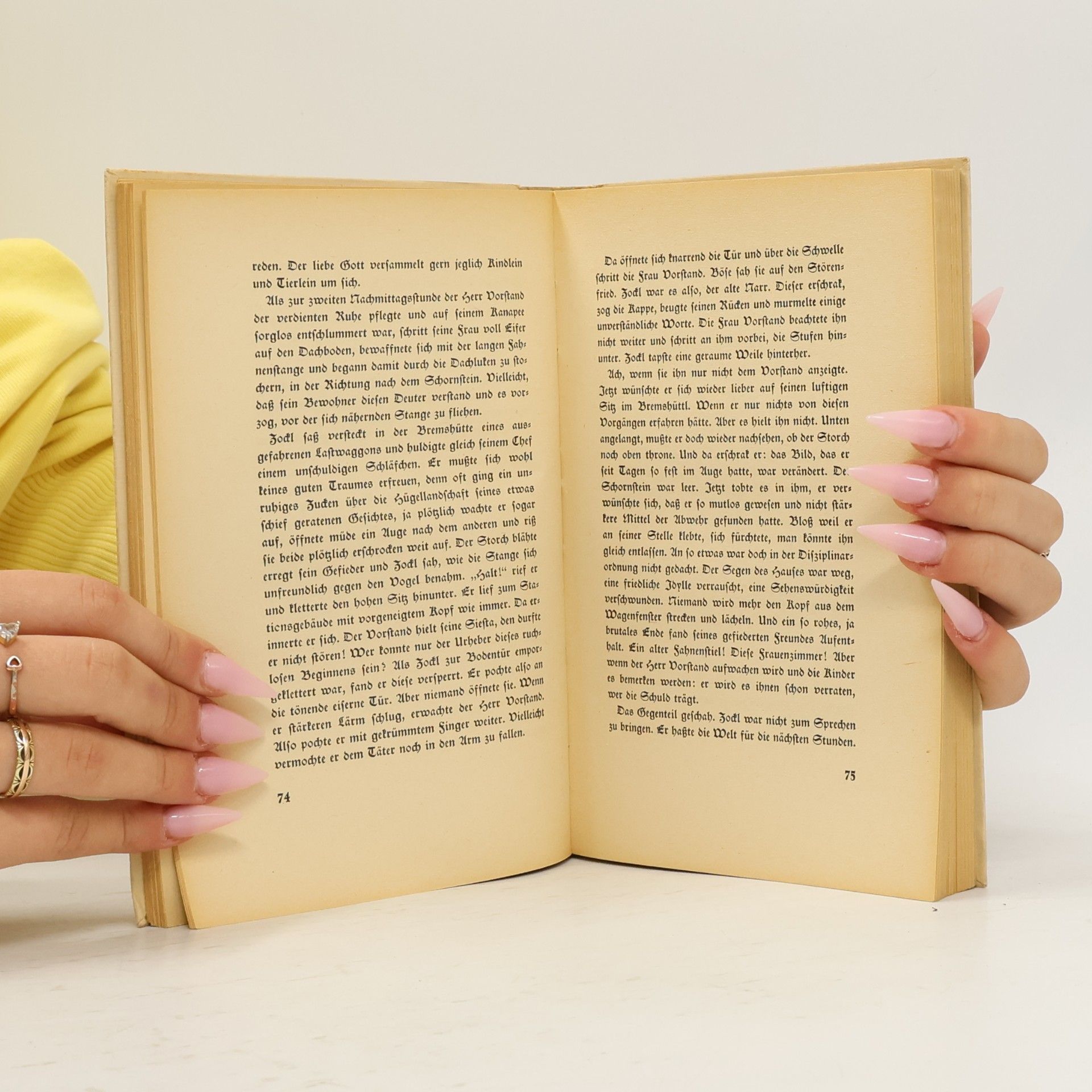 Siegfried Freiberg Nebuk, eine Storchengeschichte