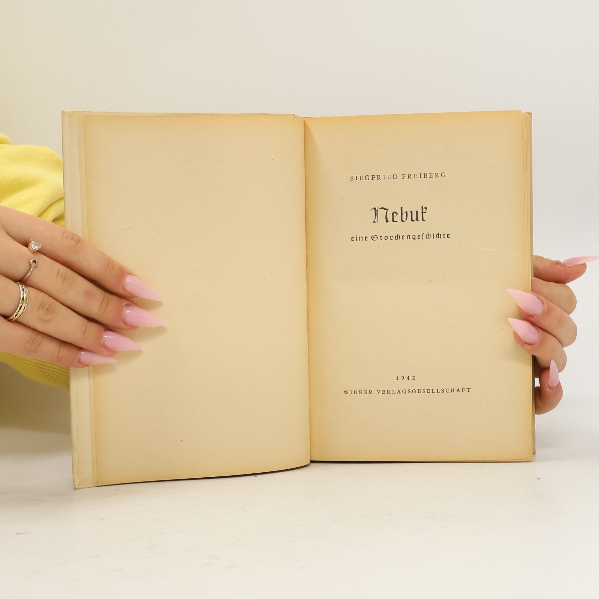 Siegfried Freiberg Nebuk, eine Storchengeschichte