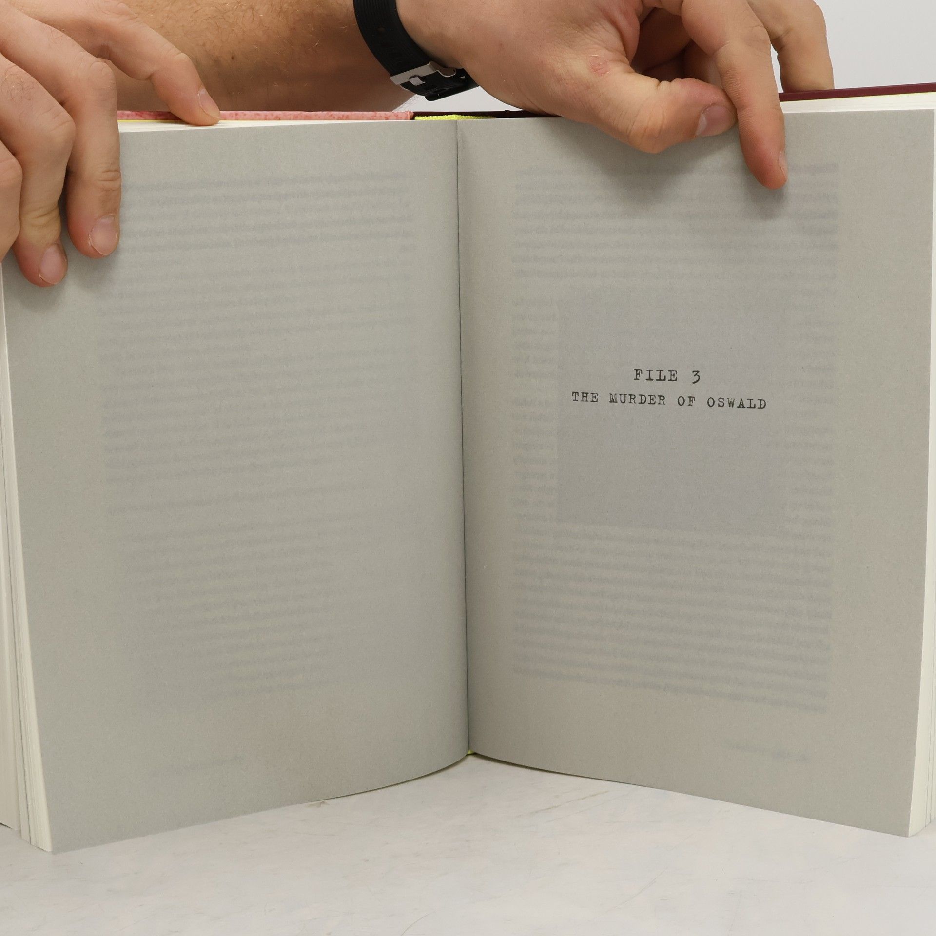 Flip de Mey The Lee Harvey Oswald Files