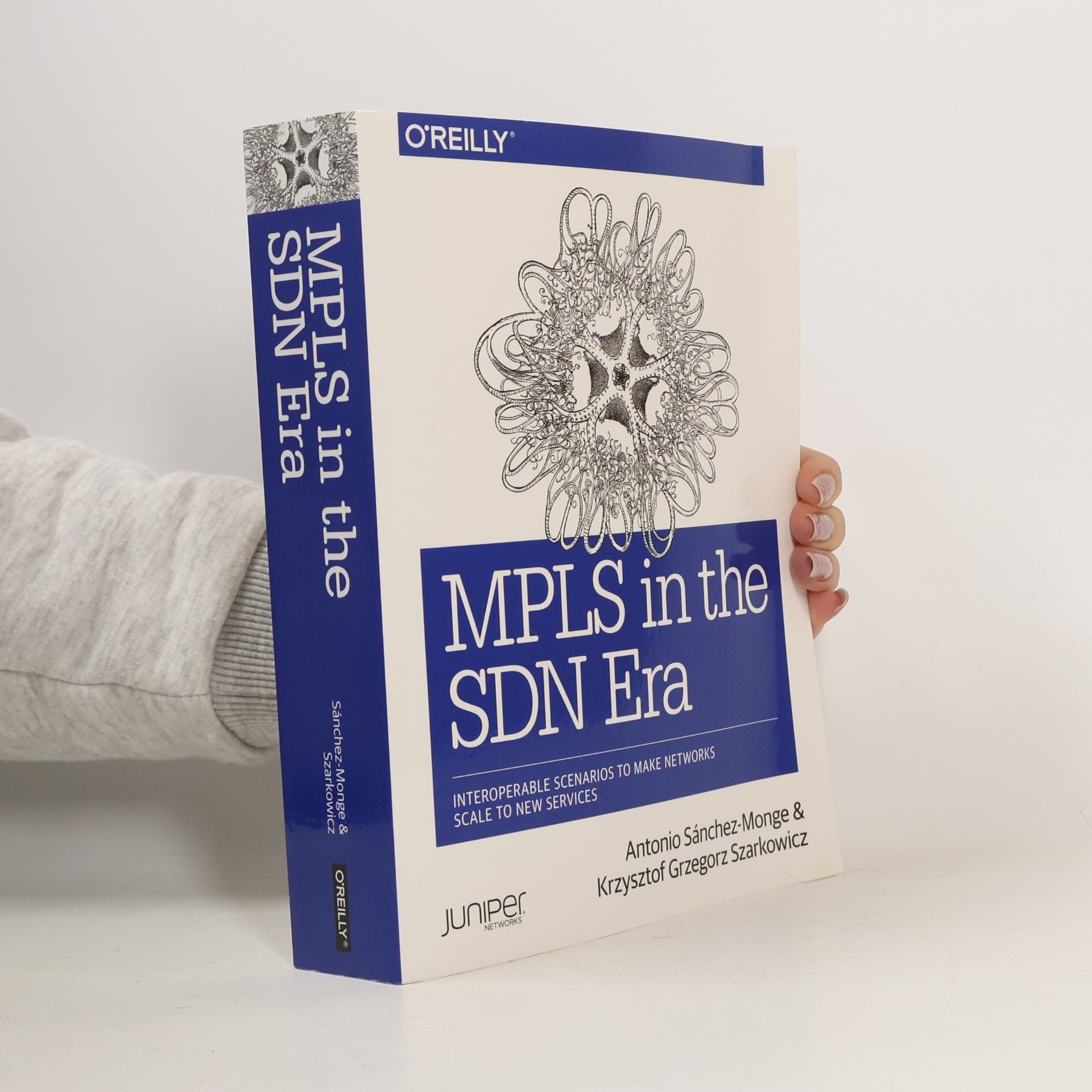 MPLS in the SDN Era
