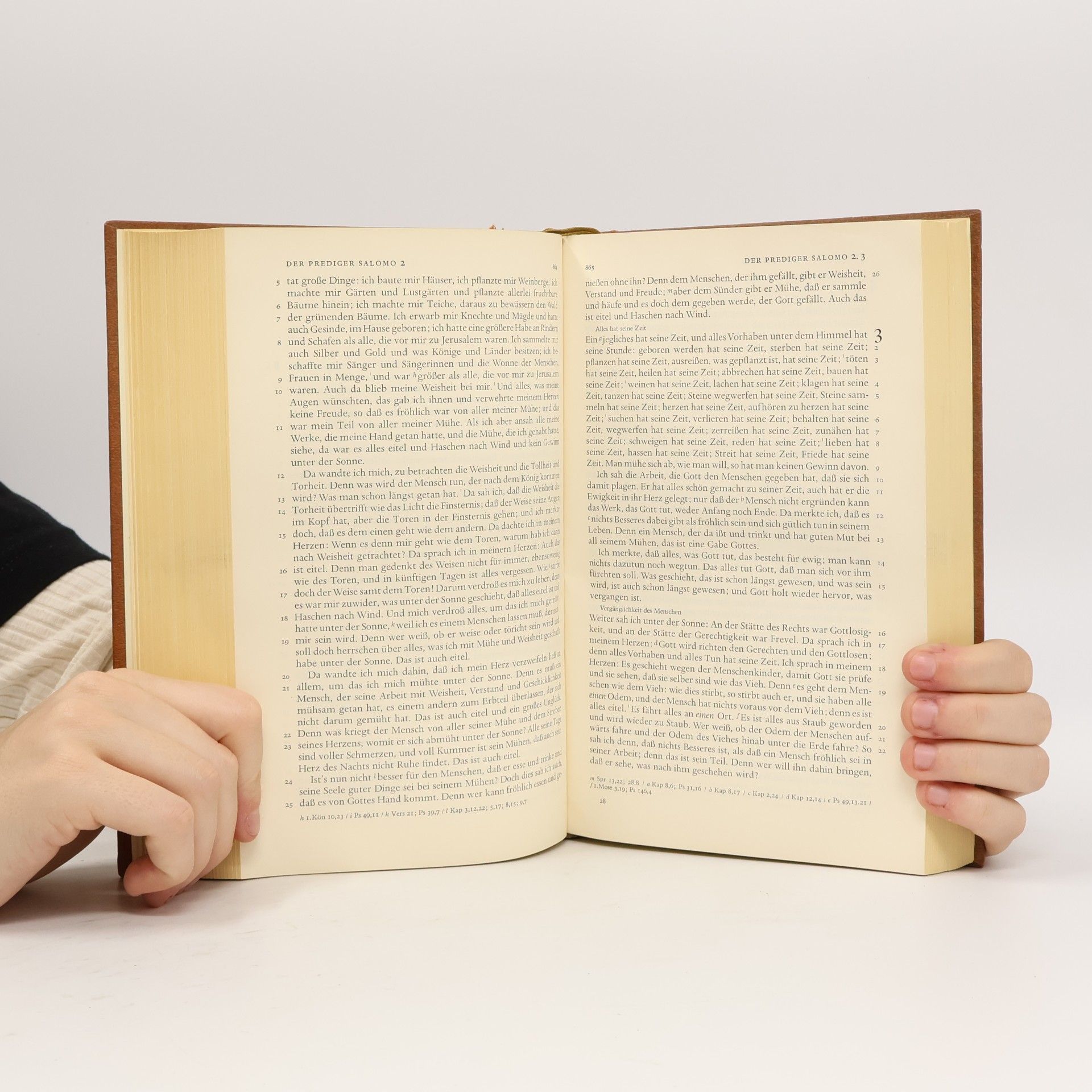 Martin Luther Die Bibel