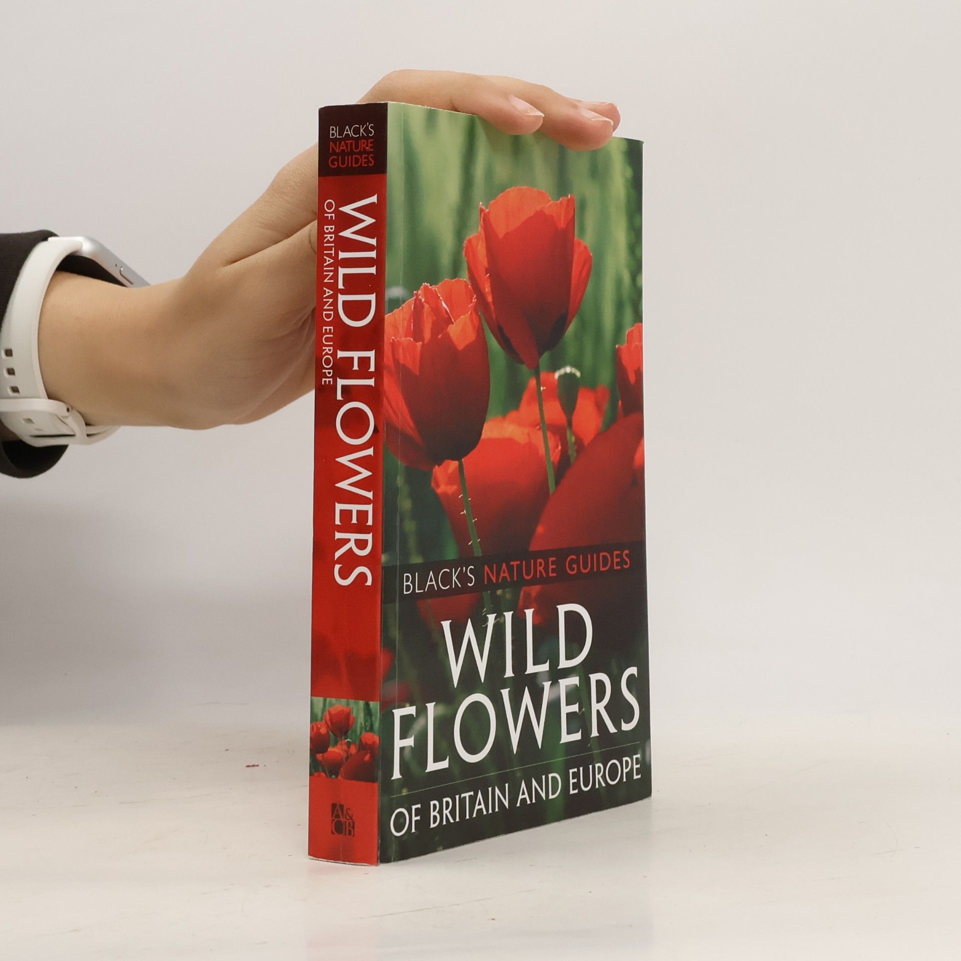 Margot Spohn Black's Nature Guides: Wild Flowers of Britain and Europe