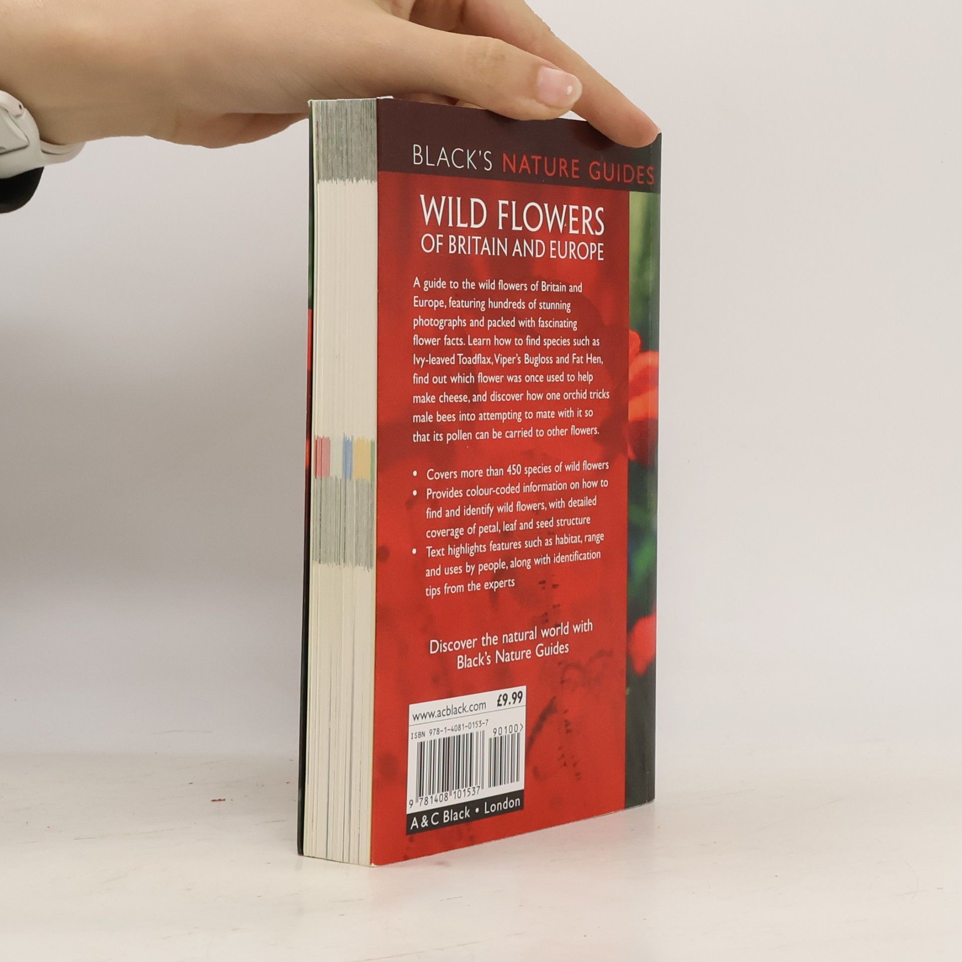 Margot Spohn Black's Nature Guides: Wild Flowers of Britain and Europe