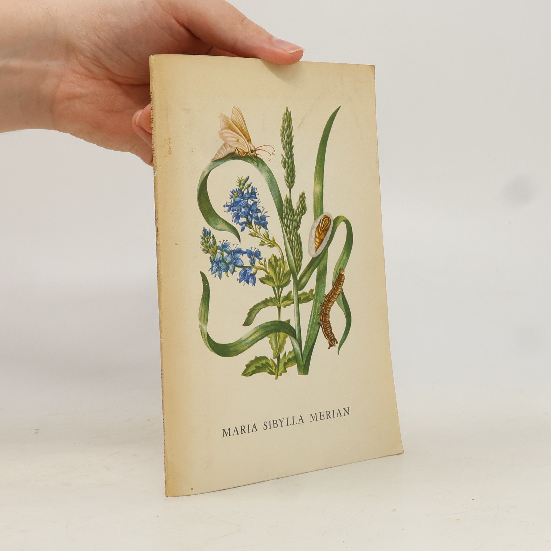Maria Sibylla Merian