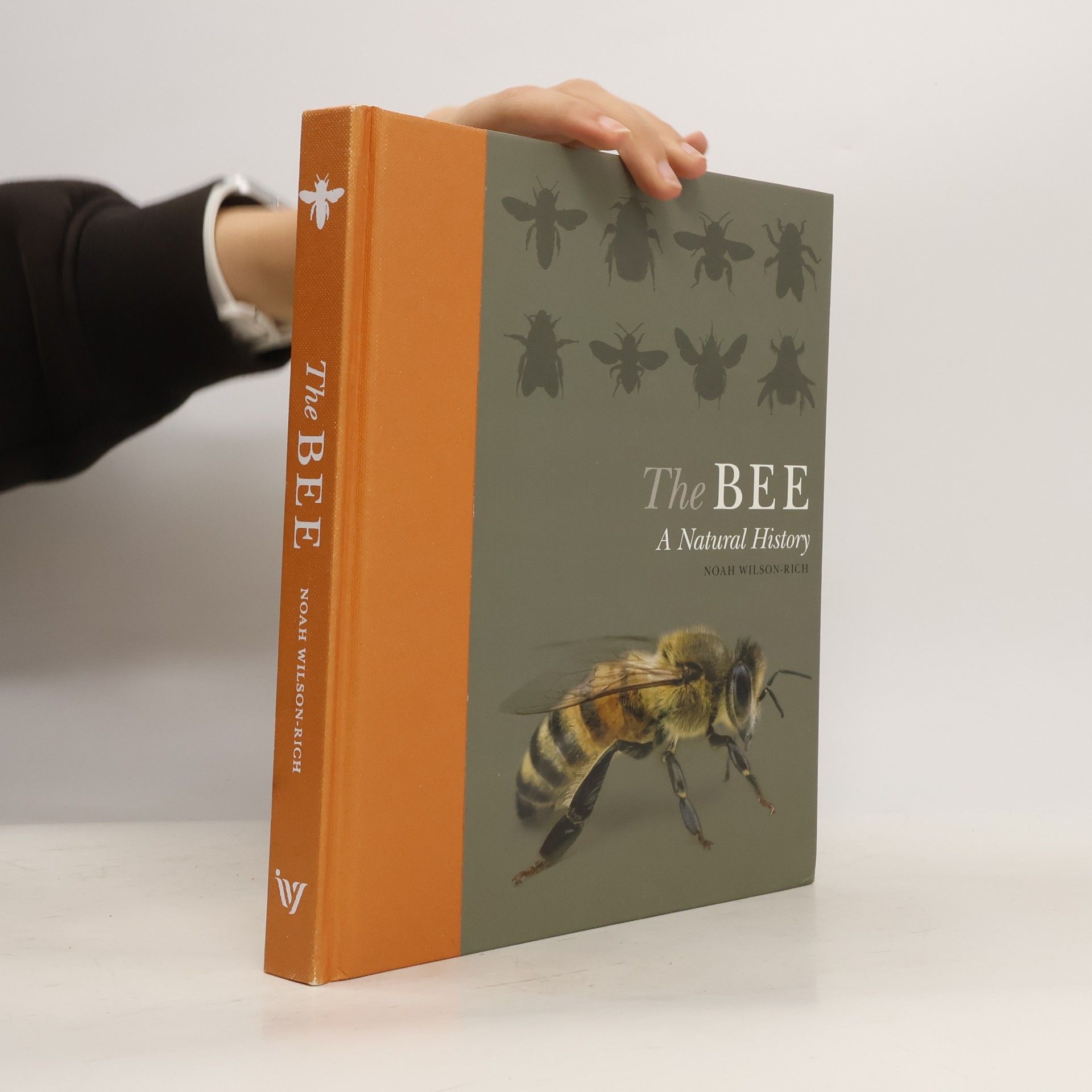 Noah Wilson-Rich The Bee