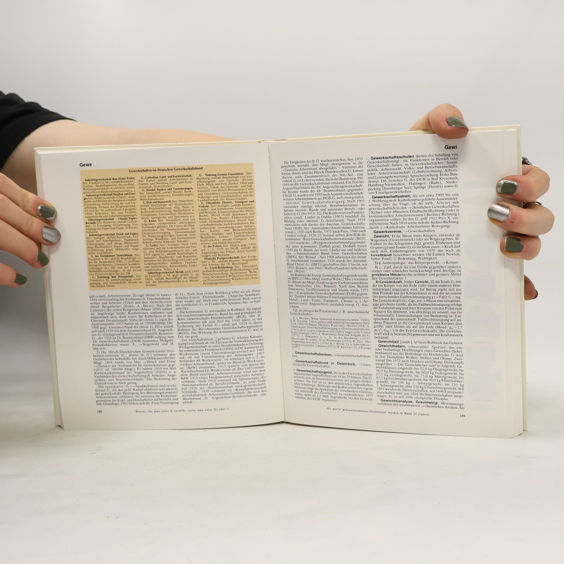 Autores varios Der Grosse Brockhaus 8
