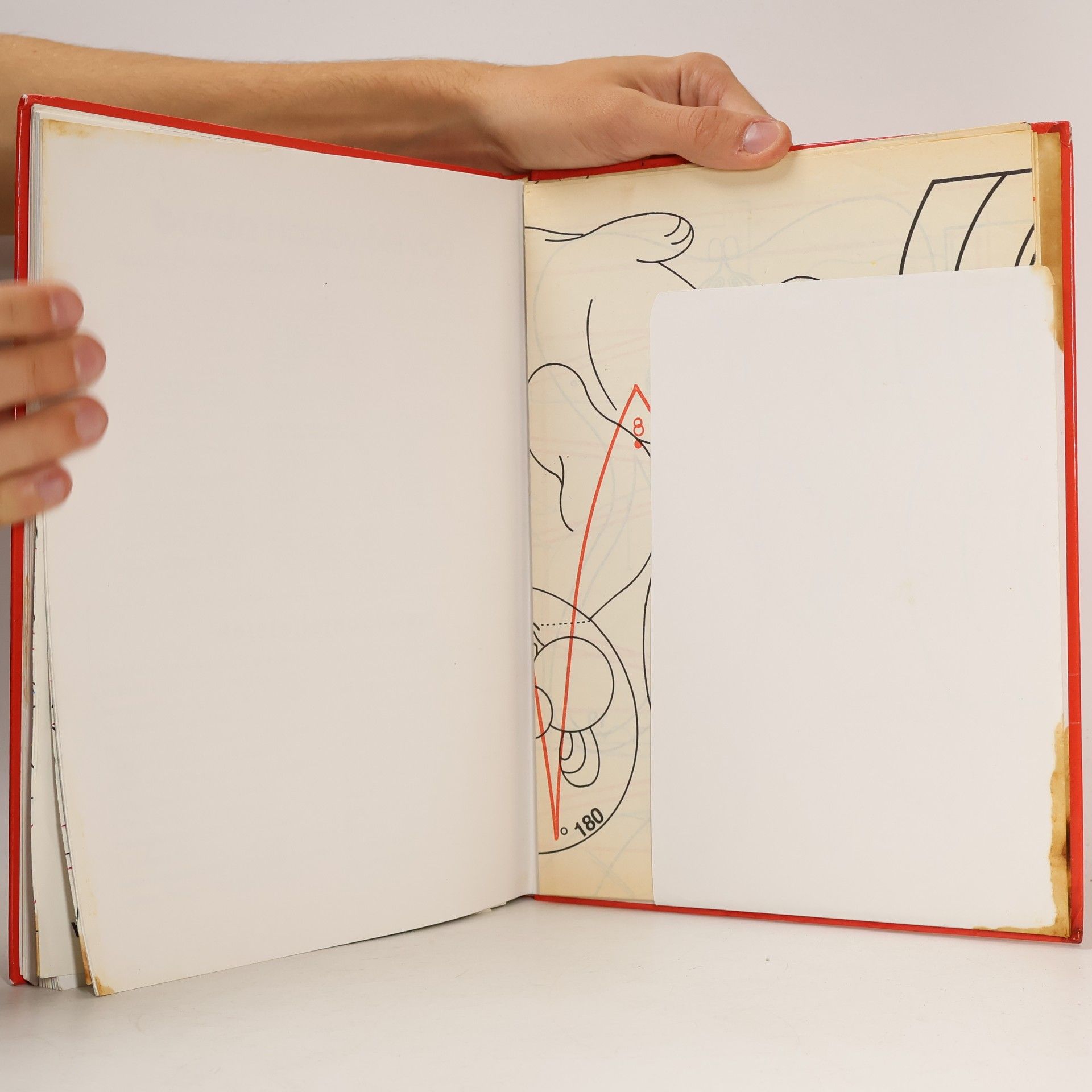 Autorenkollektiv Das grosse Bastelbuch für Kinder