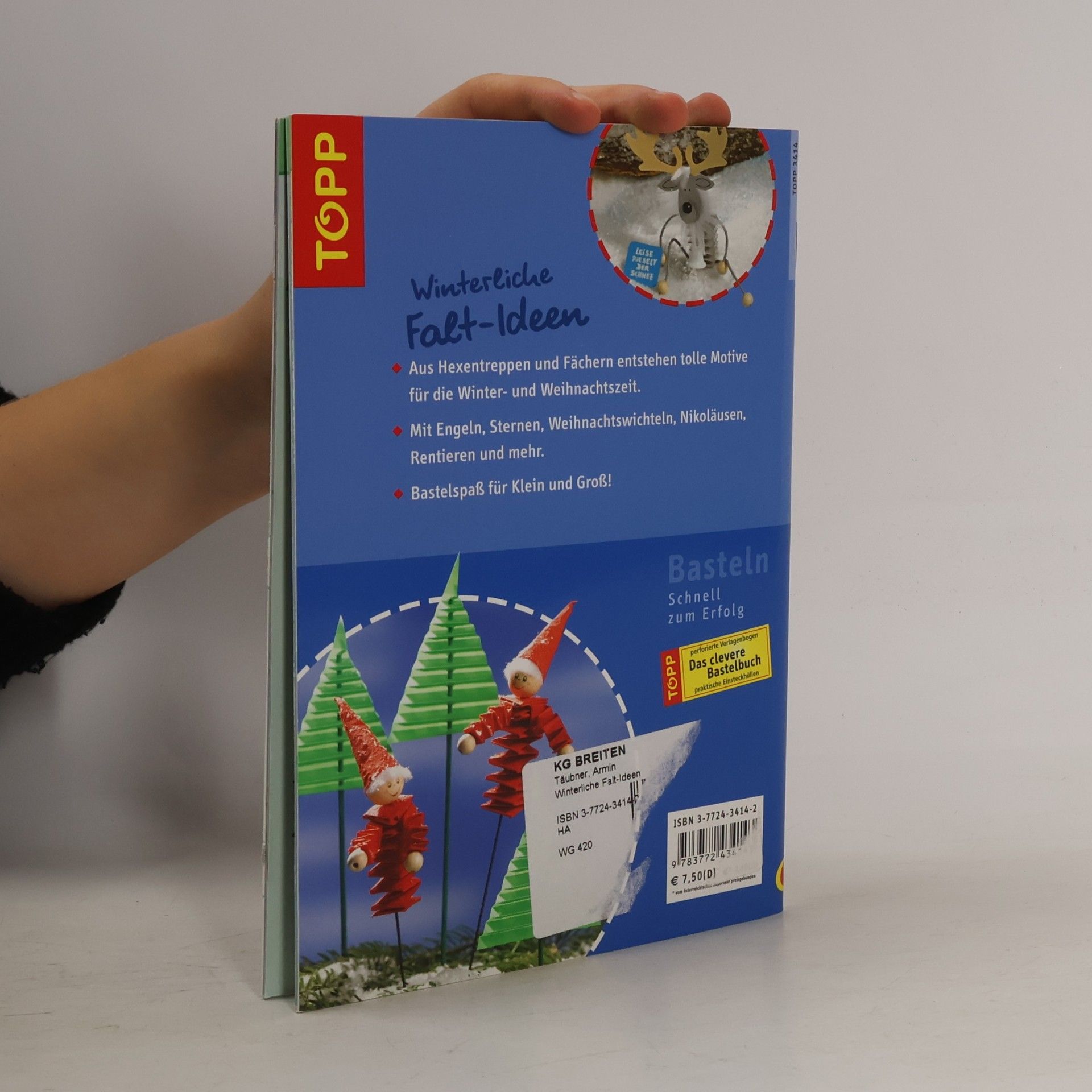 Armin Täubner Winterliche Falt-Ideen aus Papier: Mit Topp-Extra-Stickerbogen für Ihre Weihnachtspost