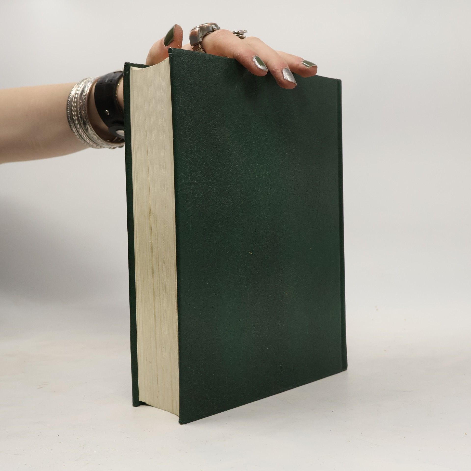 Martin Kausche Der Neue Brockhaus 2