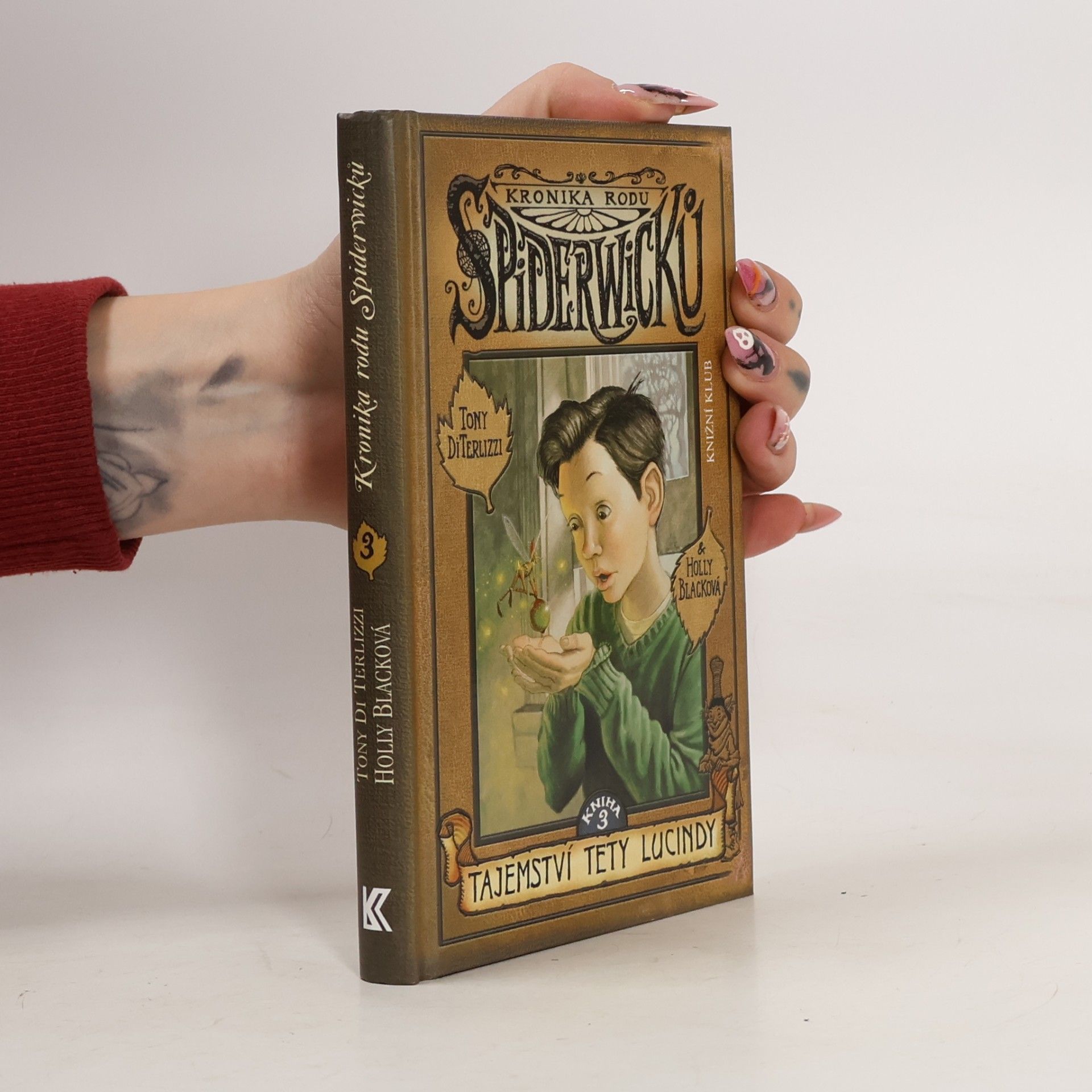 Tony DiTerlizzi Kronika rodu Spiderwicků. Kniha 3, Tajemství tety Lucindy