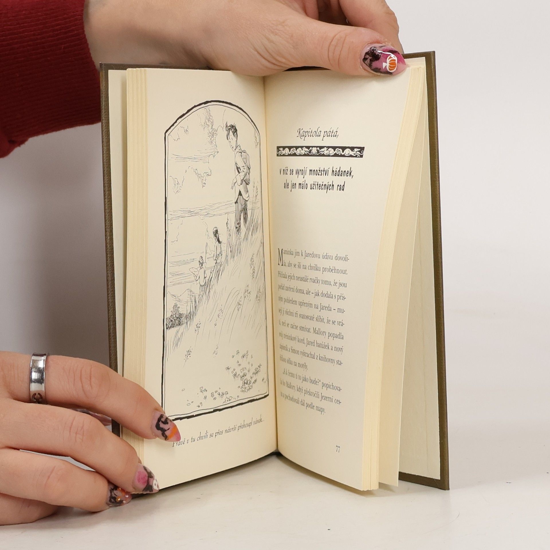 Tony DiTerlizzi Kronika rodu Spiderwicků. Kniha 3, Tajemství tety Lucindy